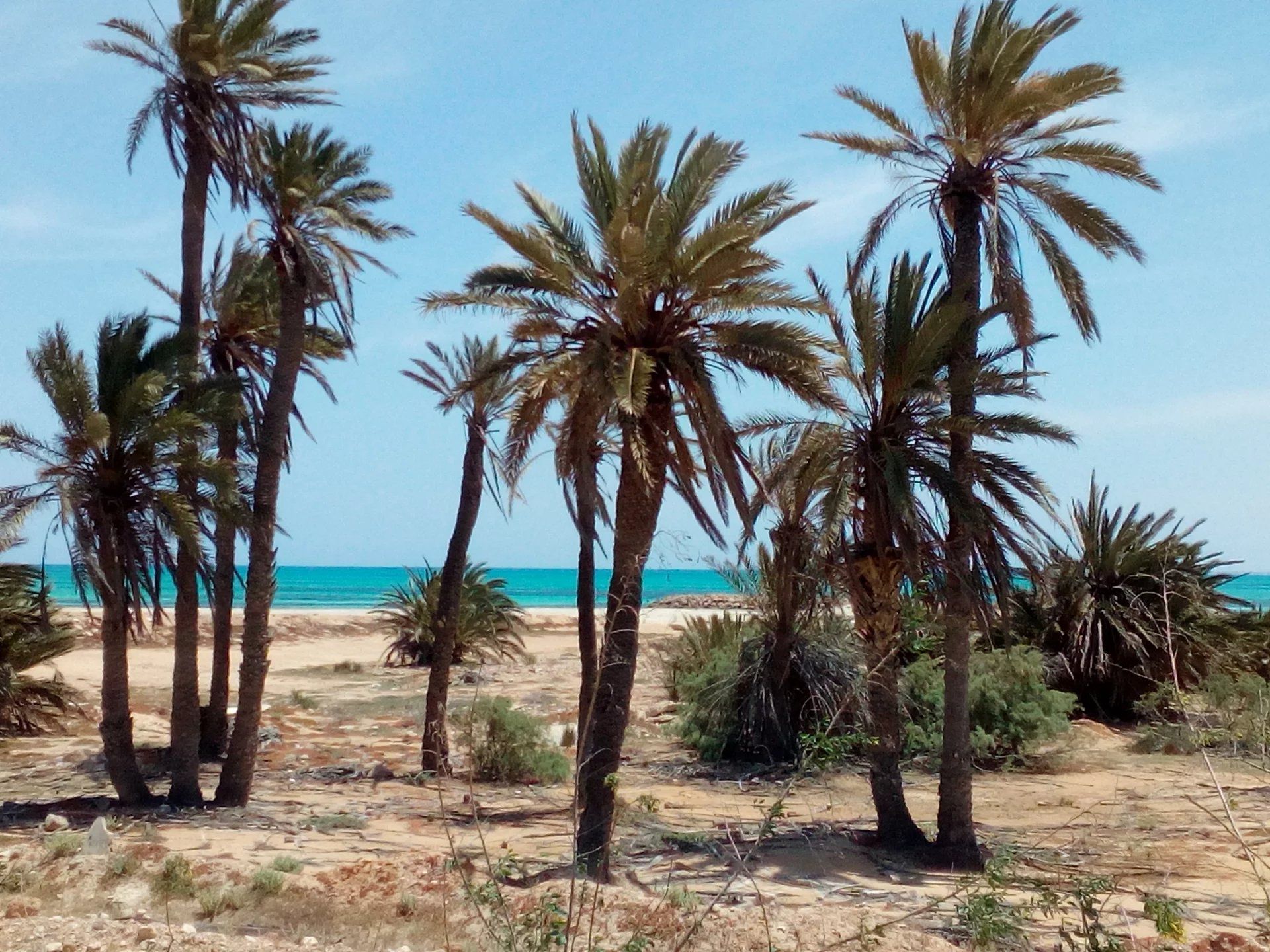 Hus i Djerba, Midoun 12831848