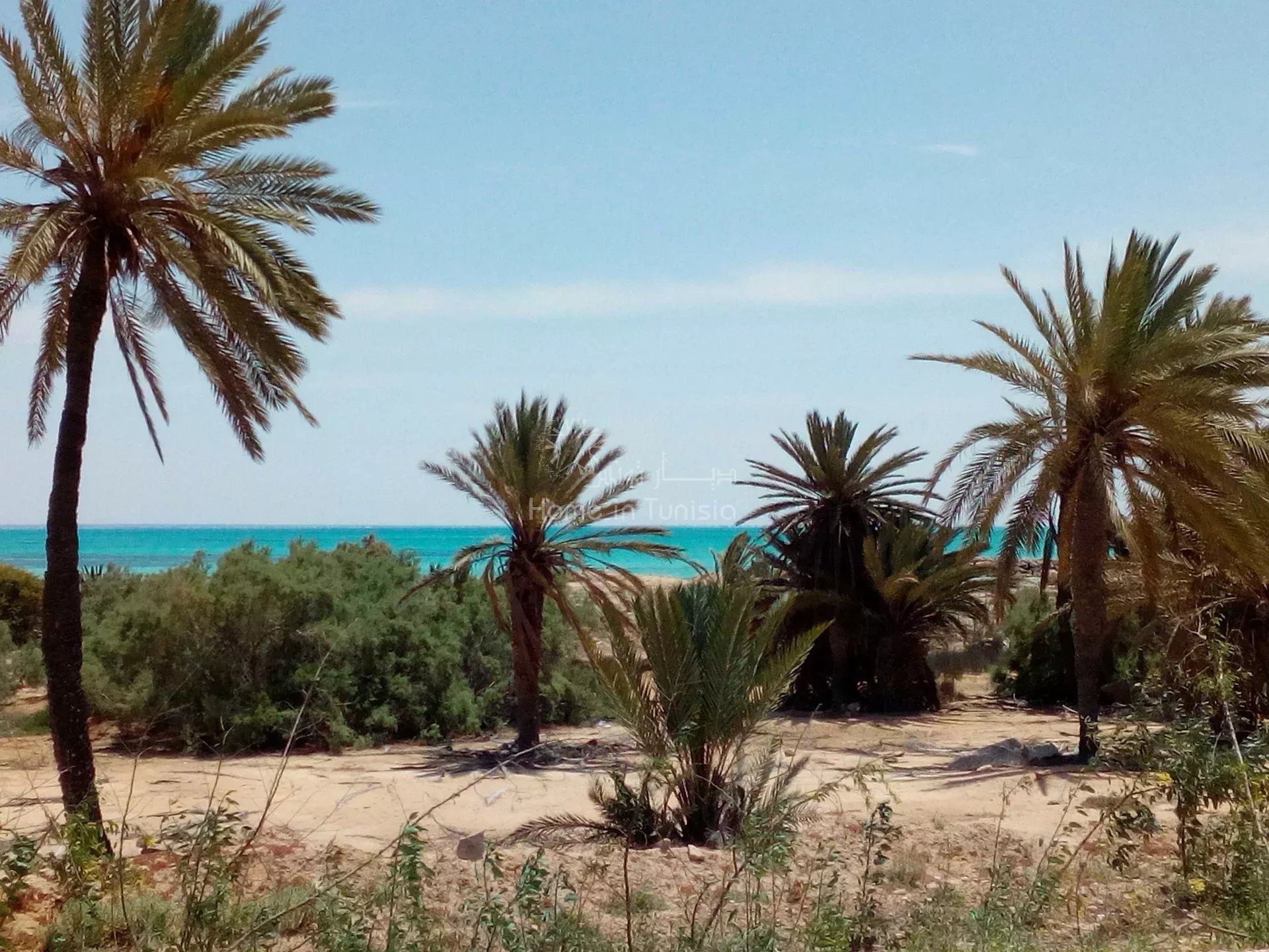 בַּיִת ב Djerba, Midoun 12831848