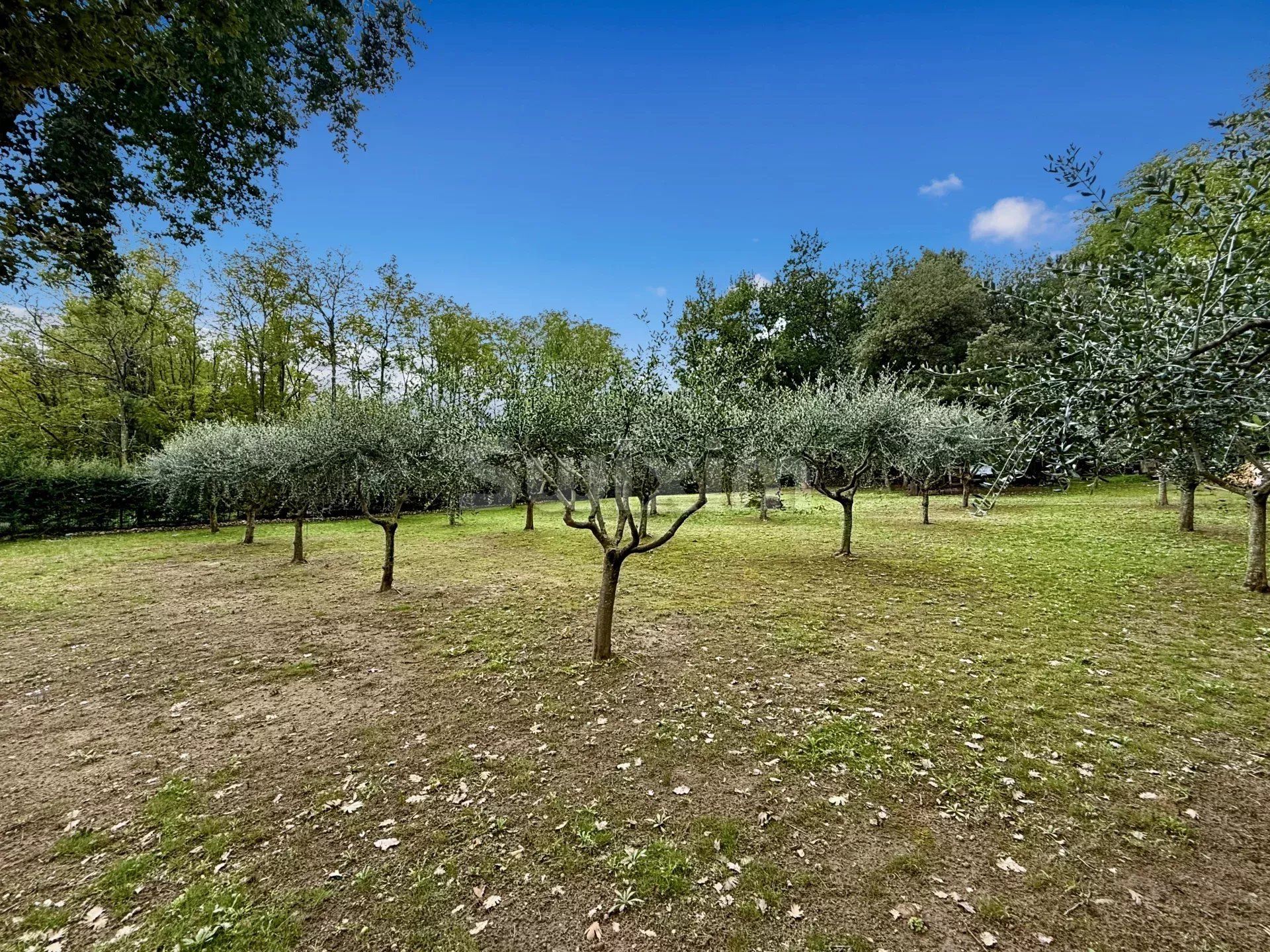 Talo sisään Pont-Saint-Esprit, Occitanie 12832800