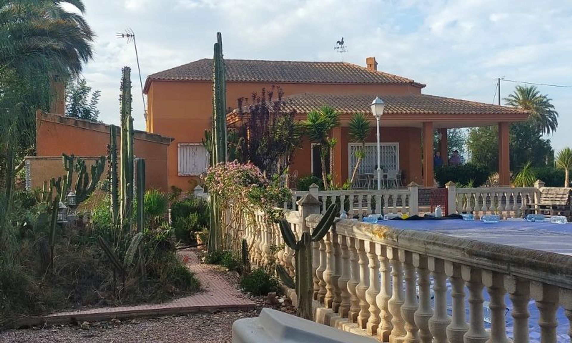 casa en Elche, Valencia 12834422