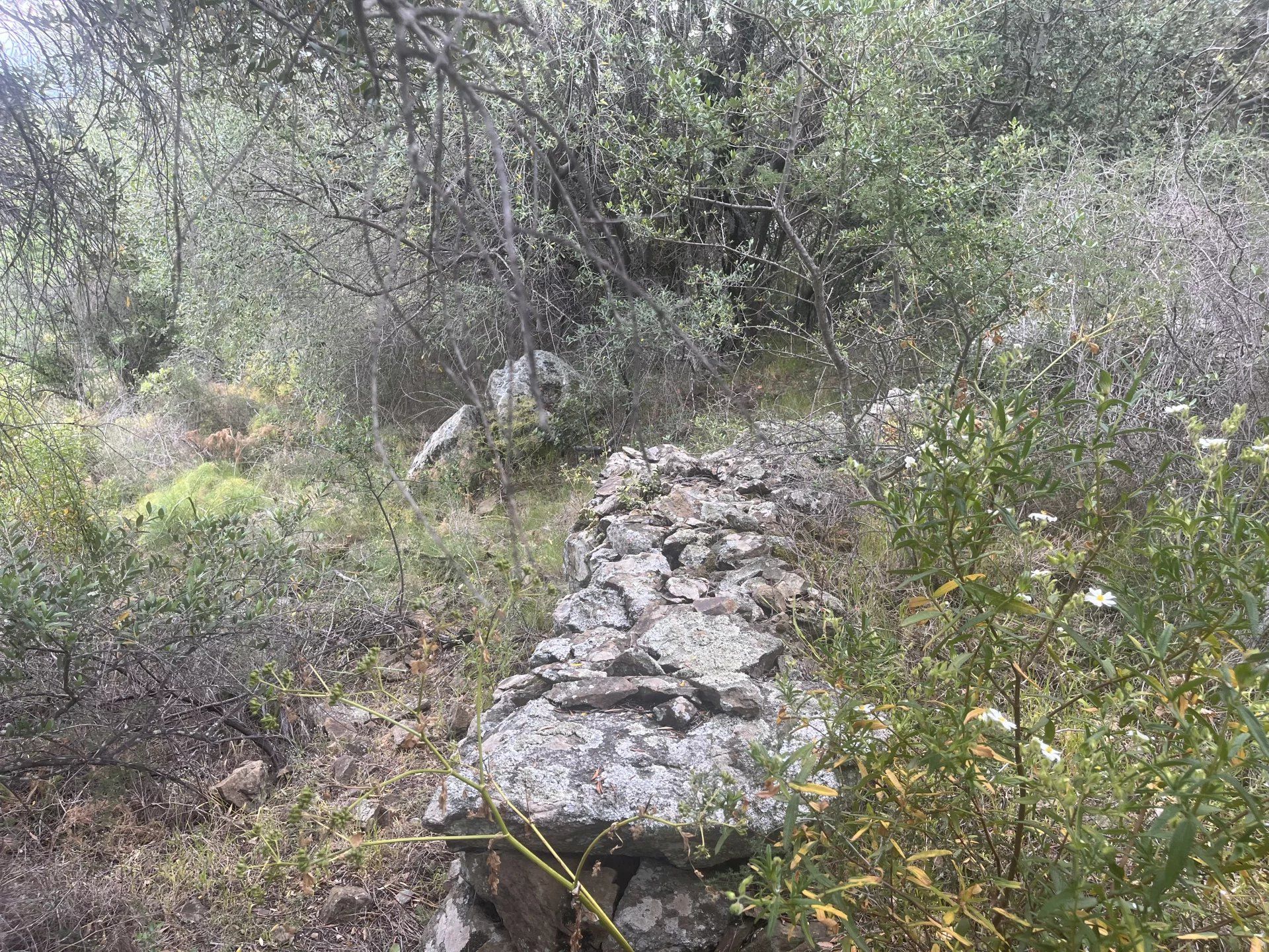 Земельные участки в Santo-Pietro-di-Tenda, Haute-Corse 12834587