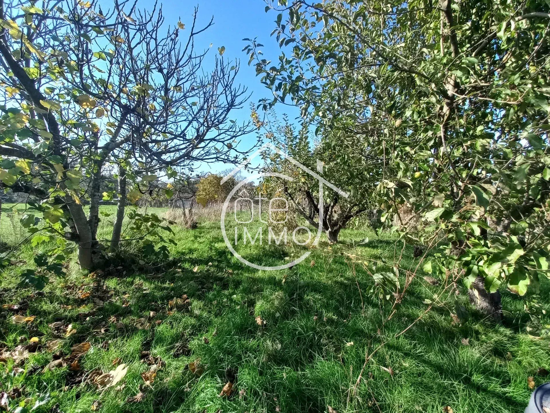 Hus i La Roquille, Gironde 12834663