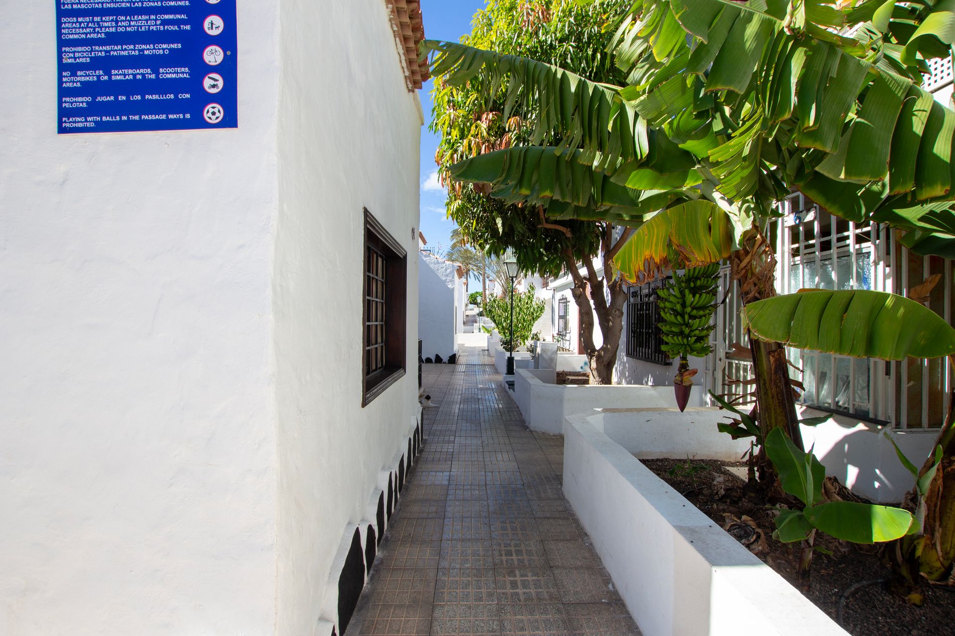 Beberapa Rumah di Arona, Canarias 12834794