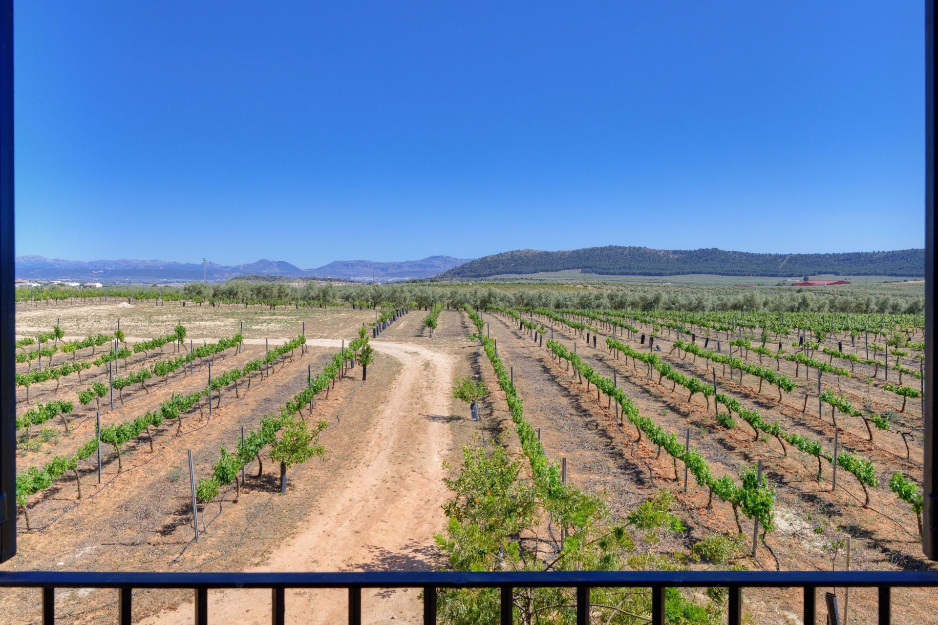 rumah dalam Antequera, Andalucía 12835745