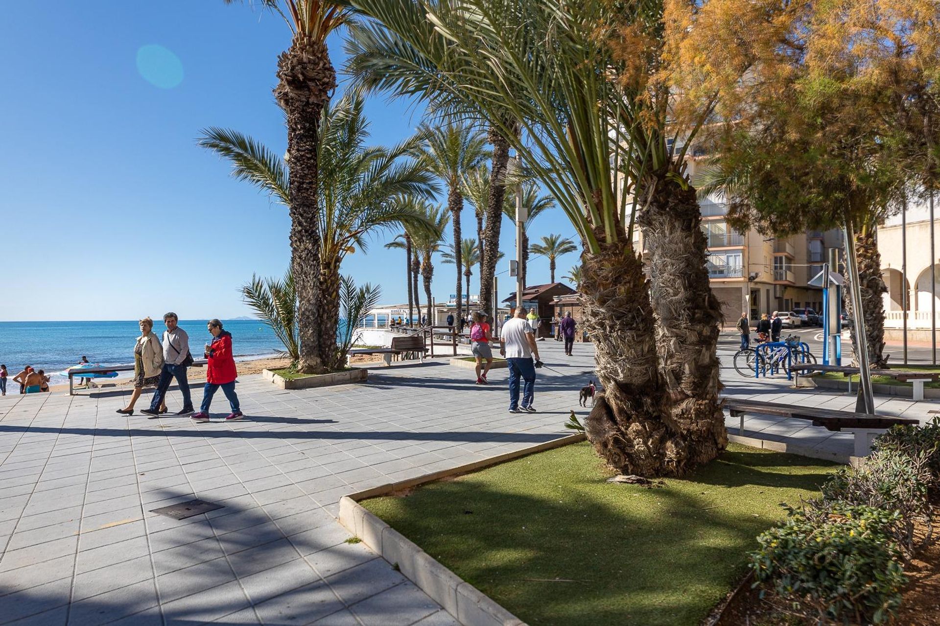 Kondominium dalam Torrevieja, Comunidad Valenciana 12835992