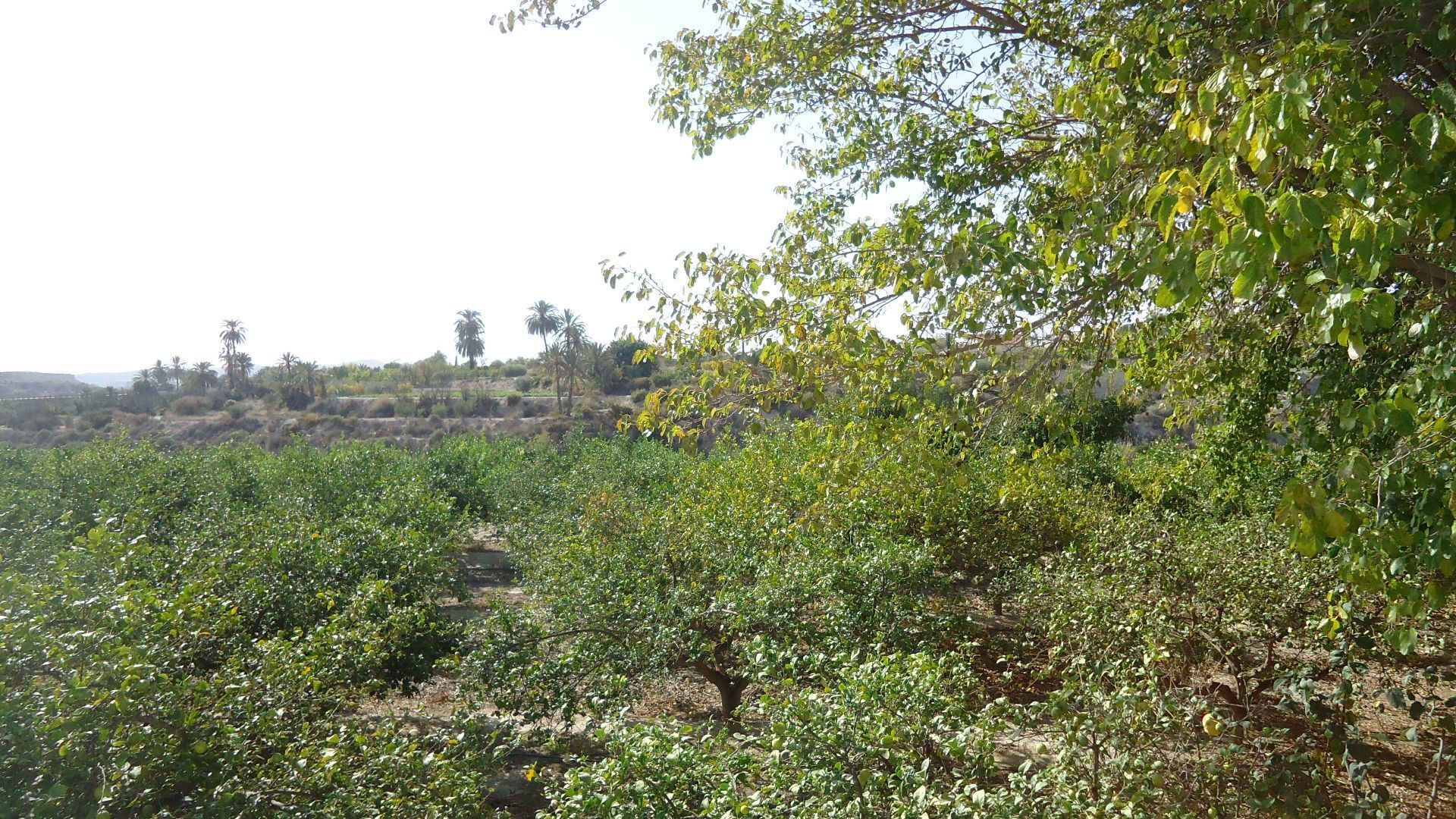 Rumah di Abanilla, Región de Murcia 12836210