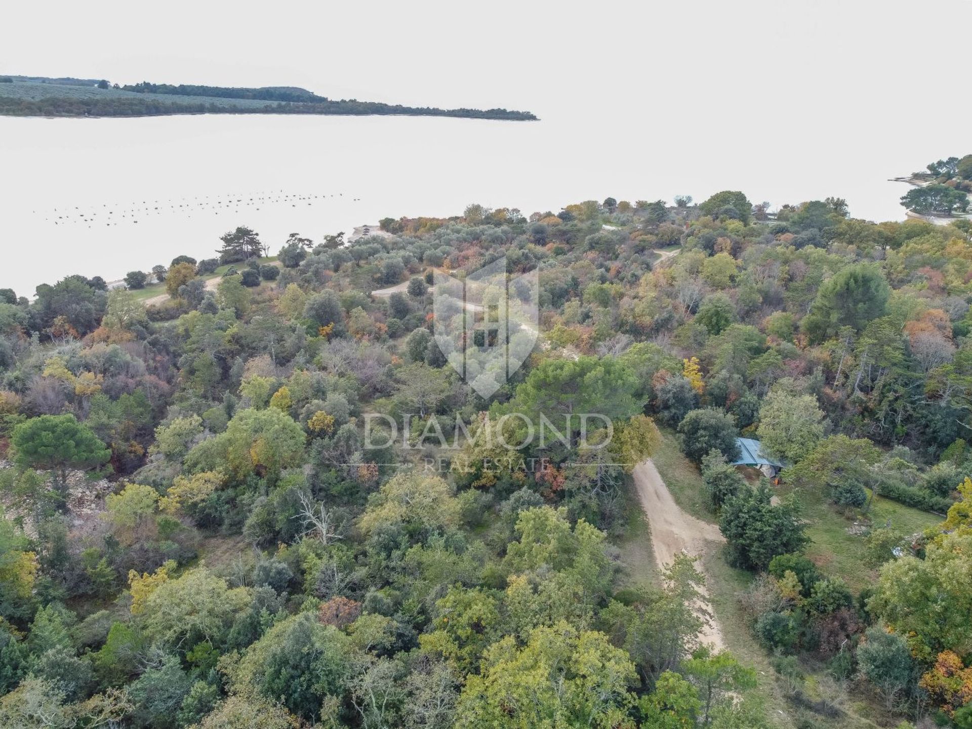 Land in Poreč, Istria County 12836386