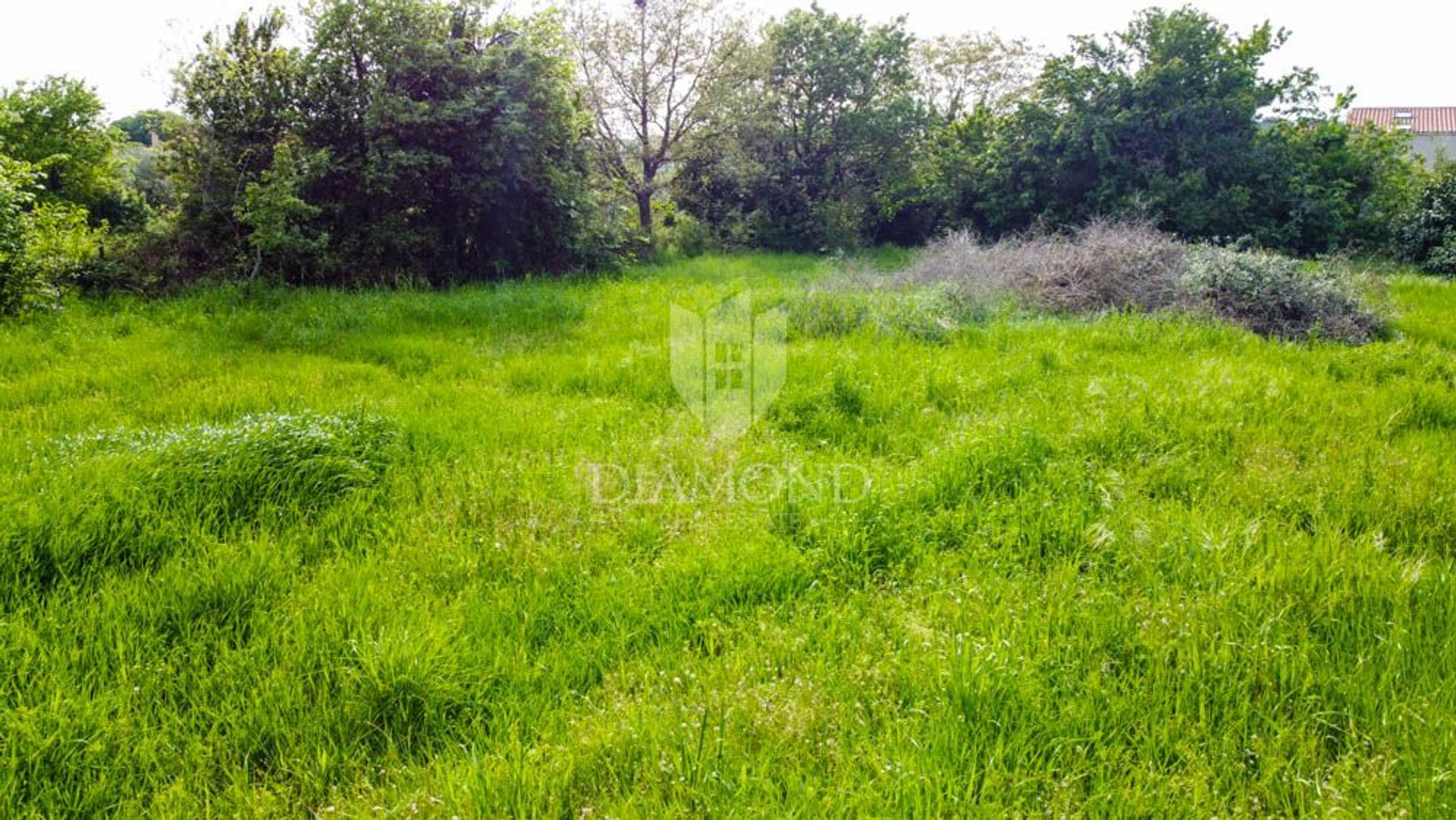 Land in Pula, Istarska Zupanija 12836397