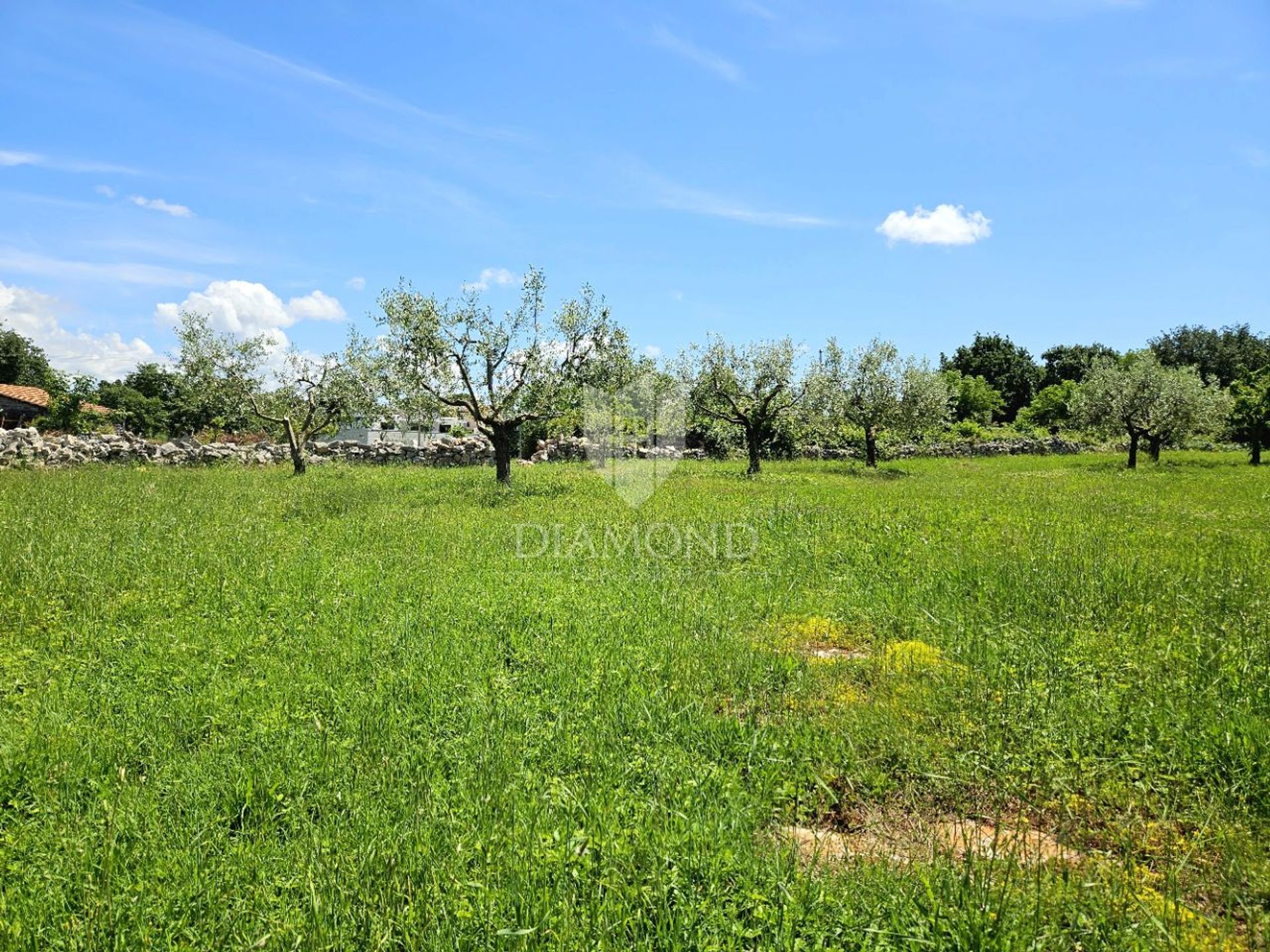 Land in Poreč, Istria County 12836466