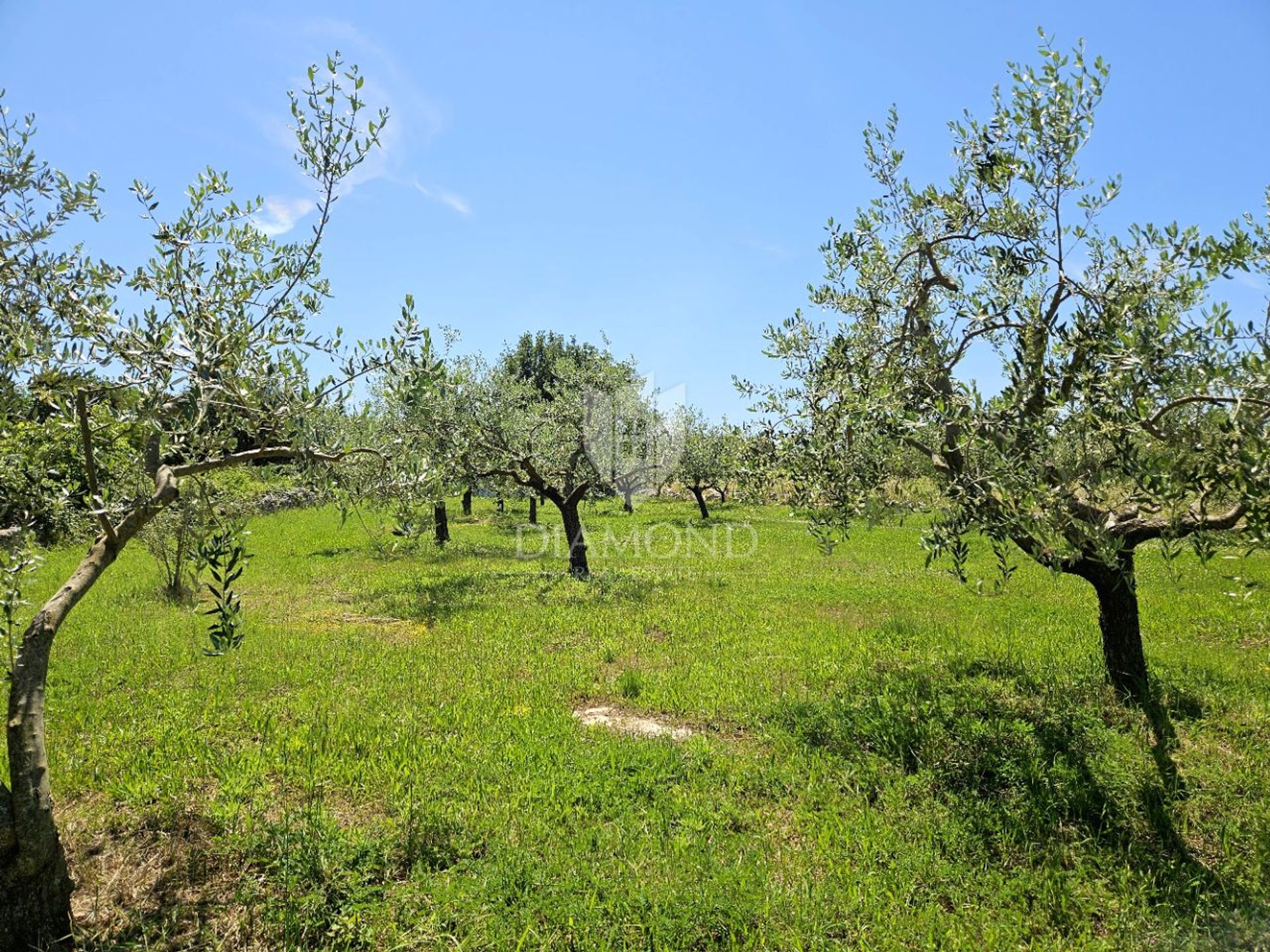 Land in Poreč, Istria County 12836466