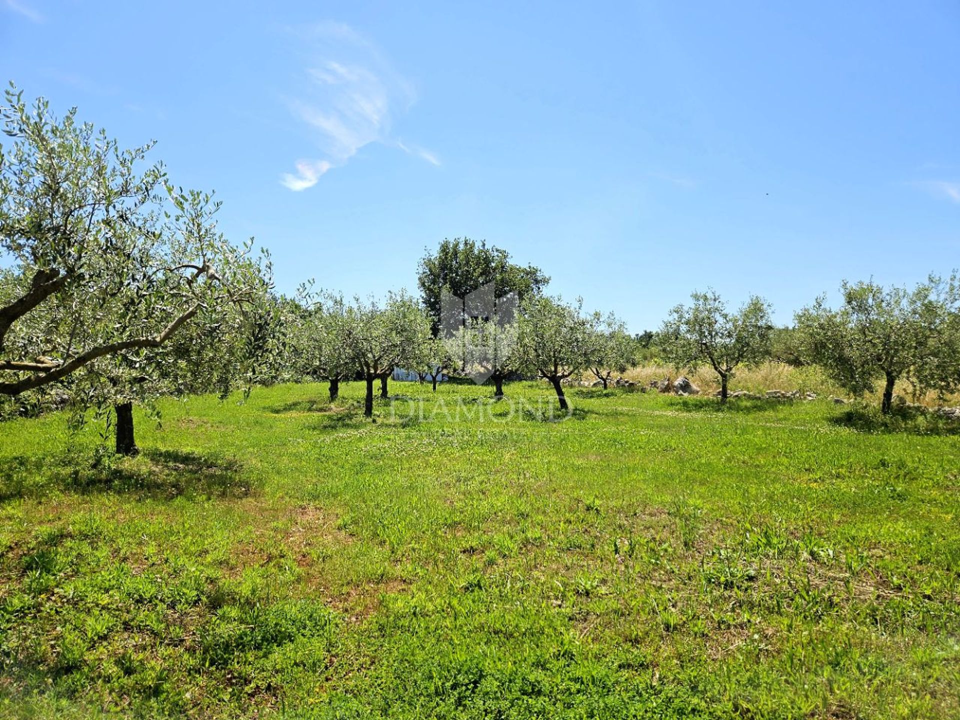 Land in Poreč, Istria County 12836466