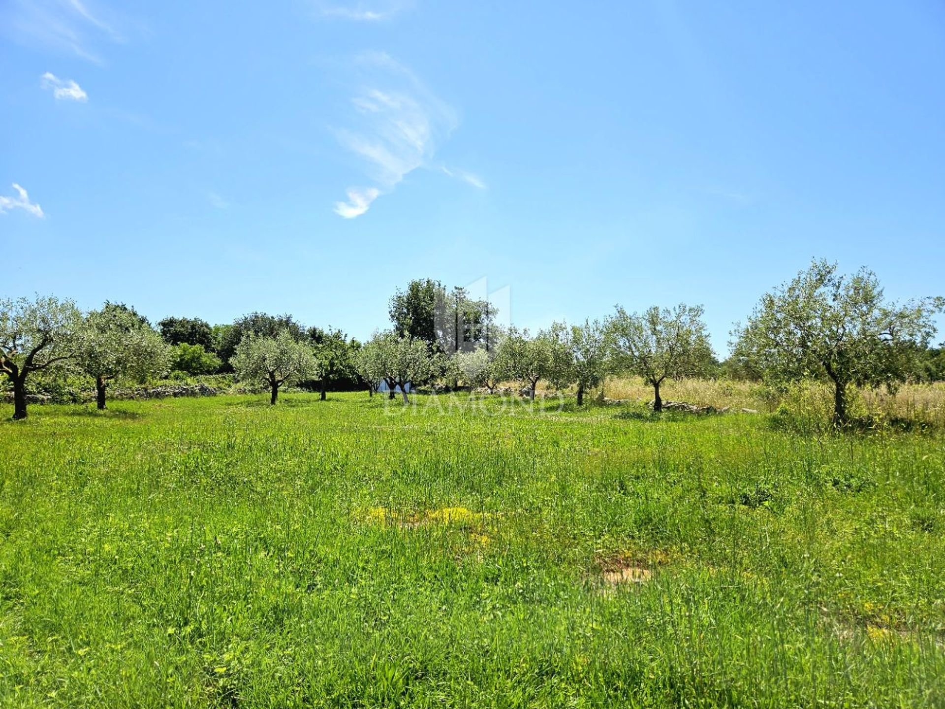 Land in Poreč, Istria County 12836466