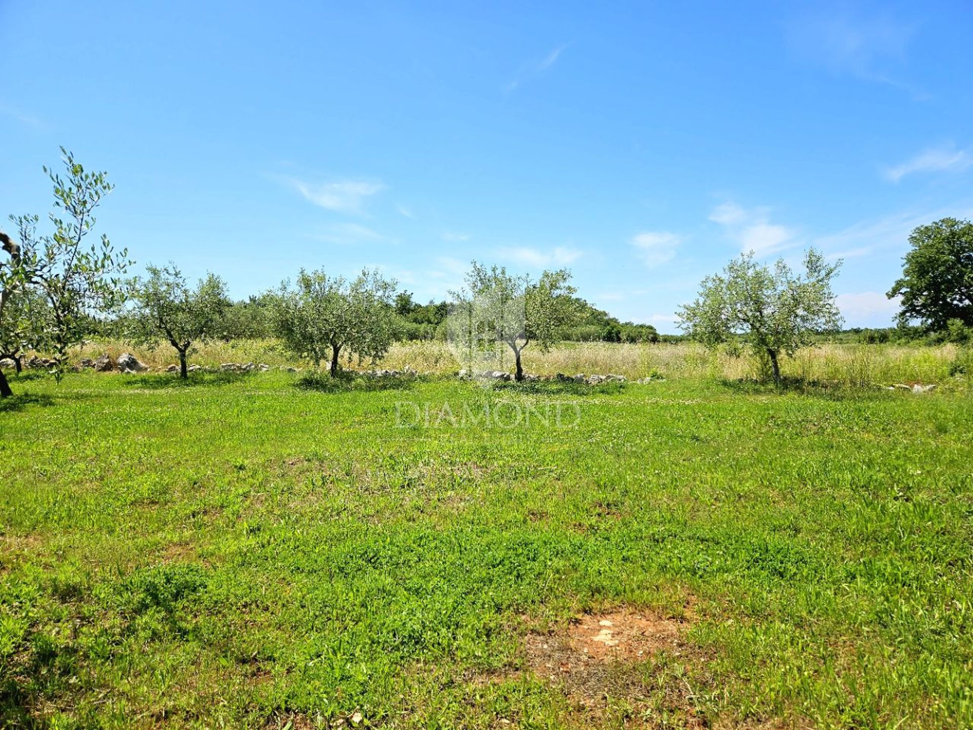 Land in Poreč, Istria County 12836466