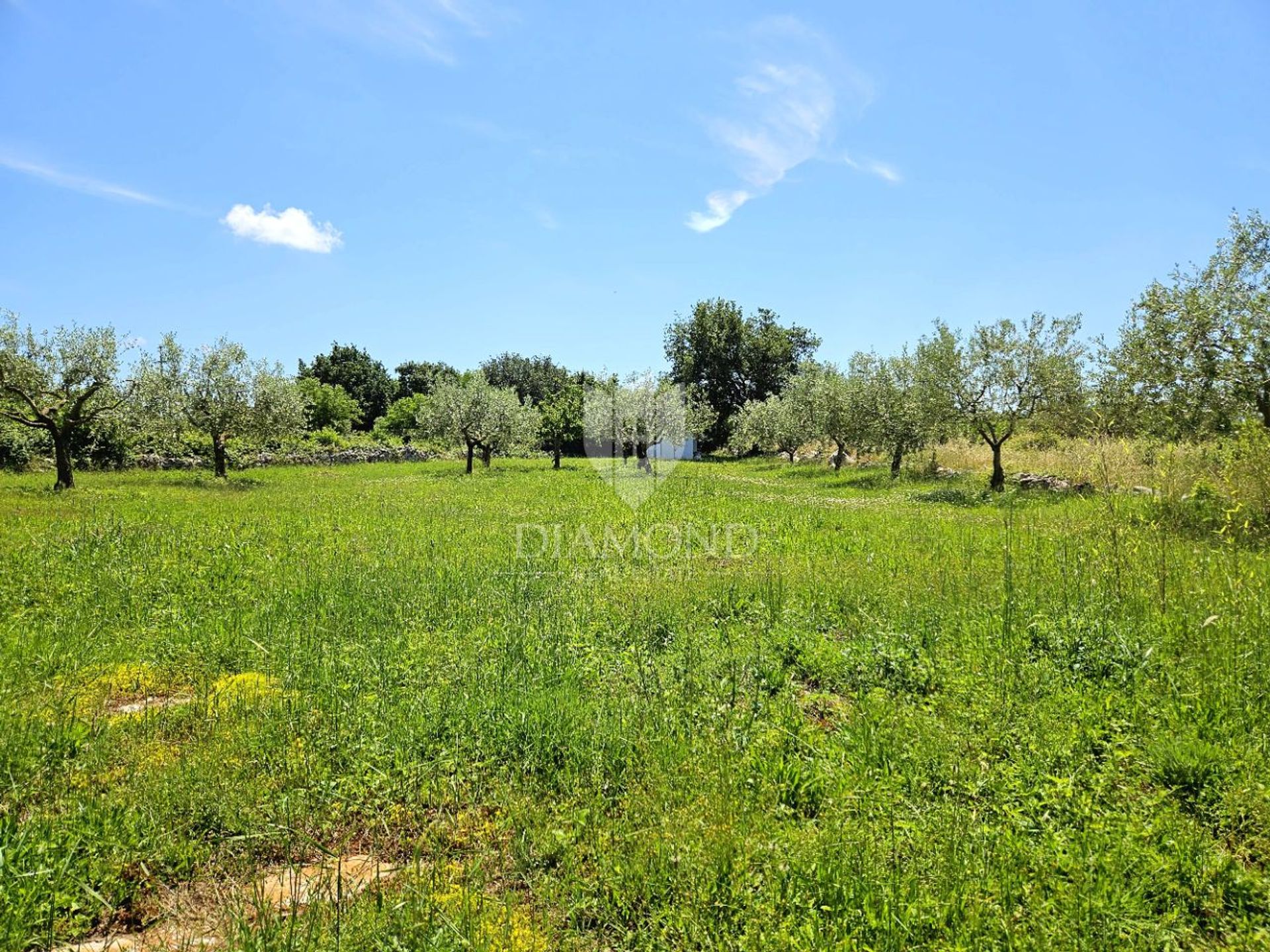 Land in Poreč, Istria County 12836466