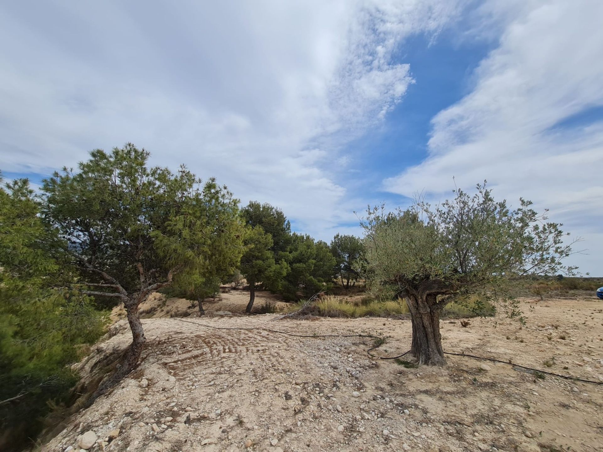 其他 在 Abanilla, Región de Murcia 12836692