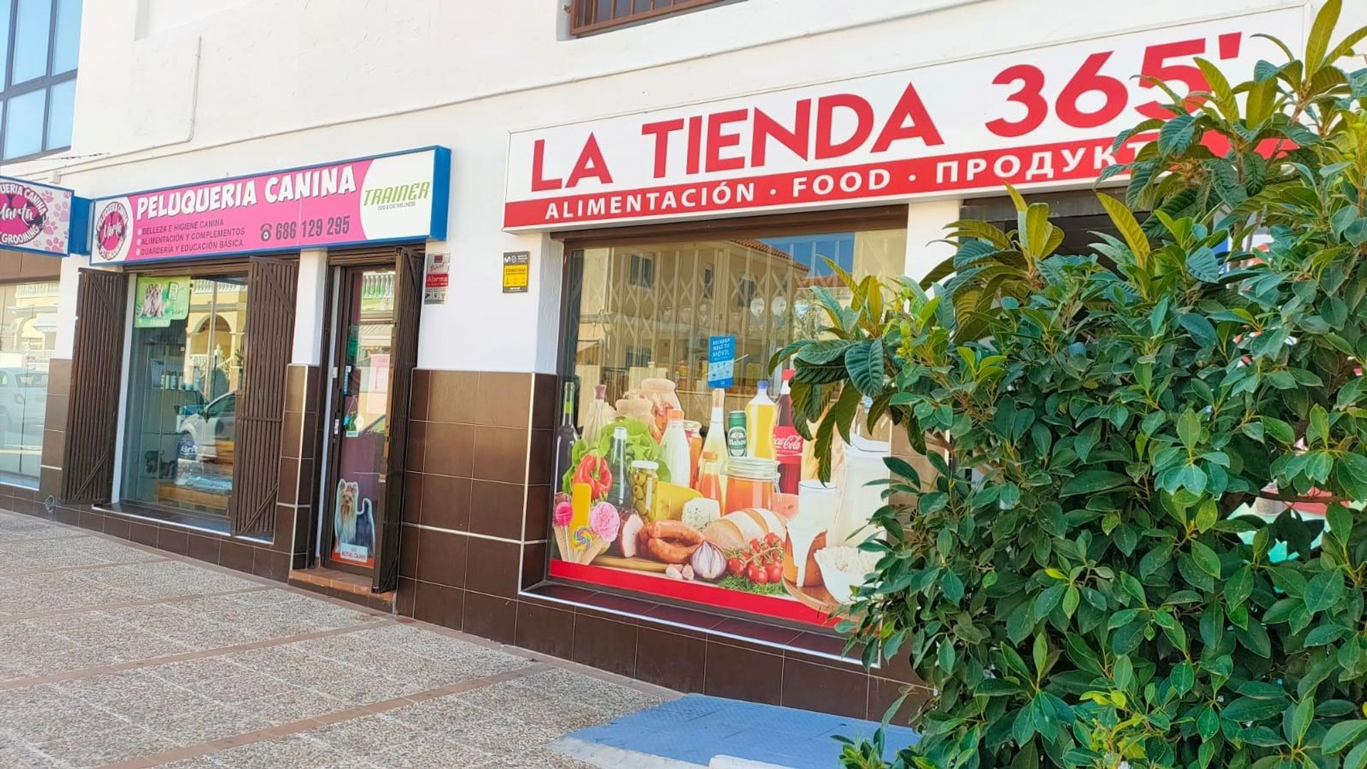 Land im Torrevieja, Valencia 12836948