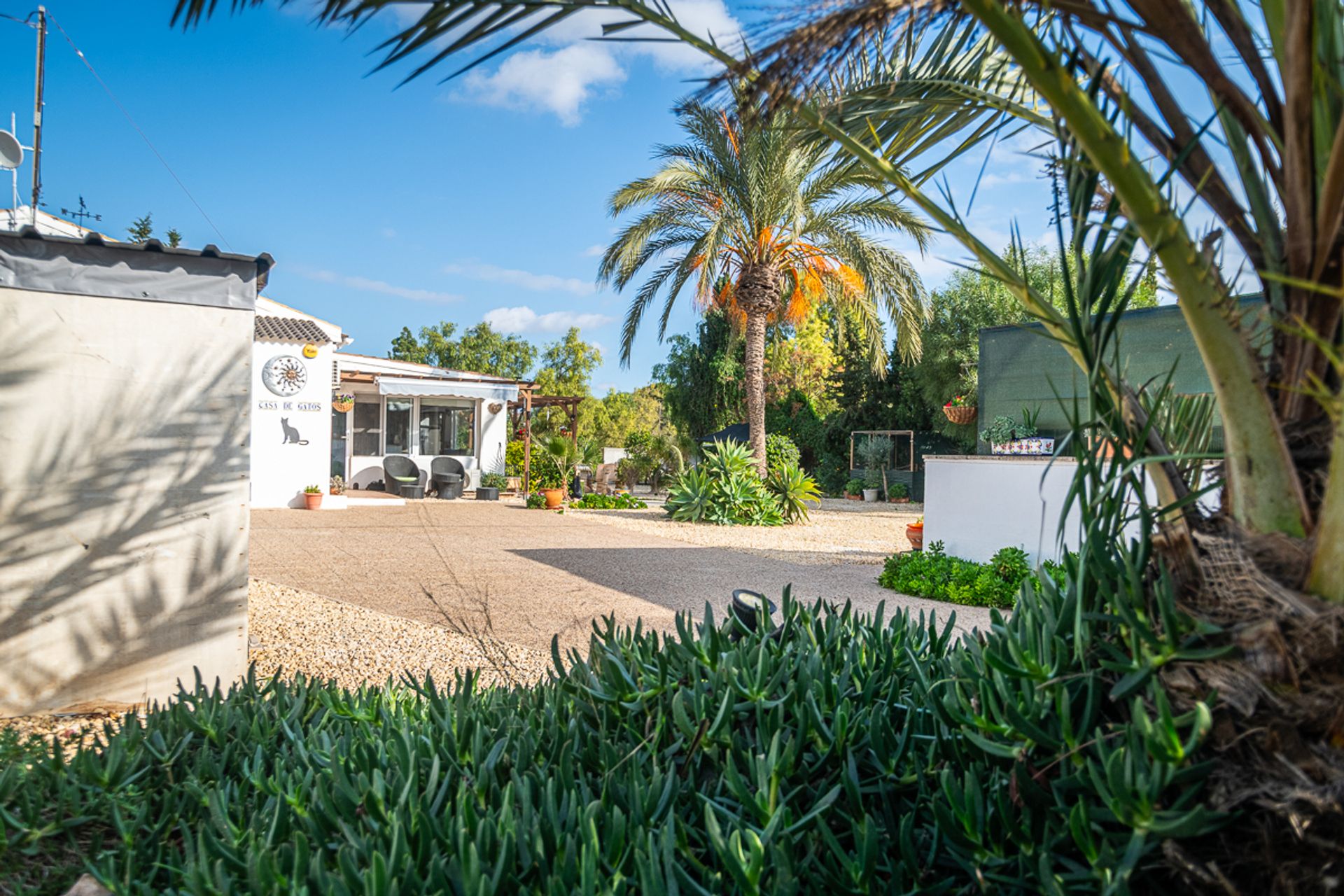 rumah dalam Avileses, Región de Murcia 12836977