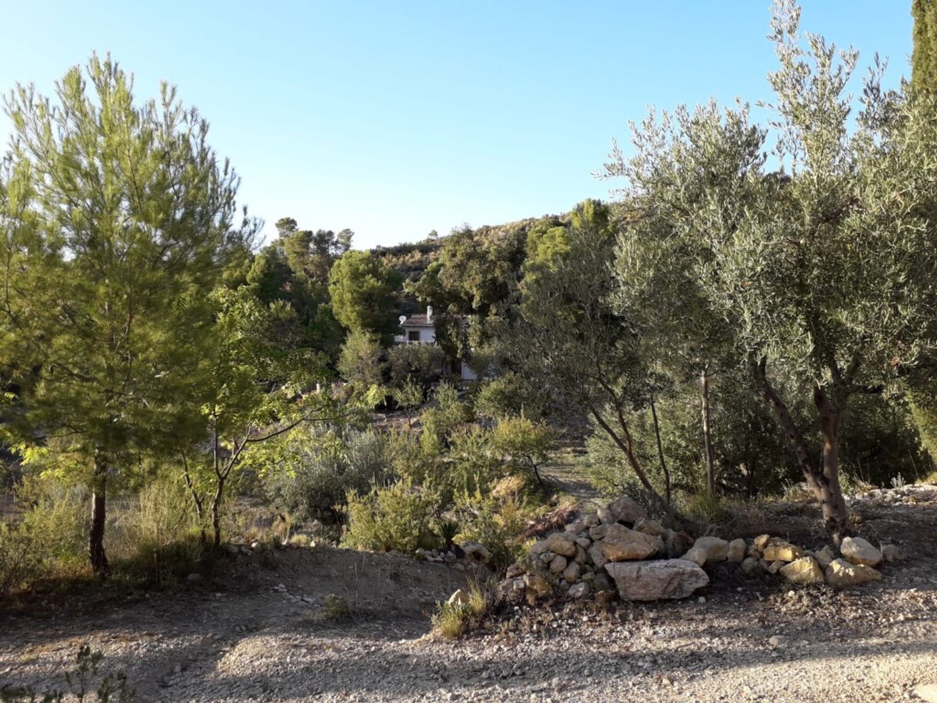 Dom w La Torre de les Maçanes, Comunidad Valenciana 12837073