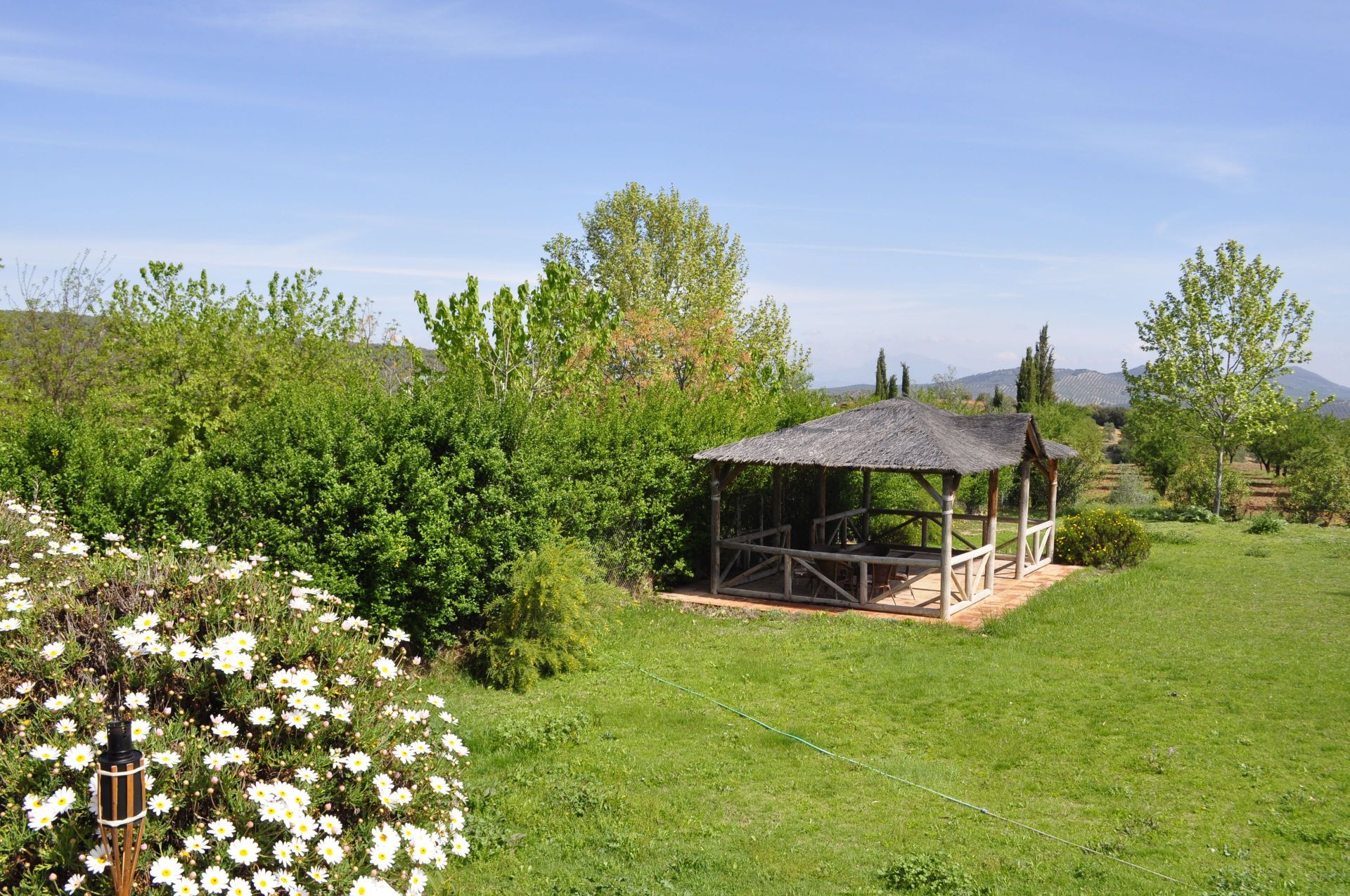 الأرض في Villanueva de Tapia, Andalucía 12837327