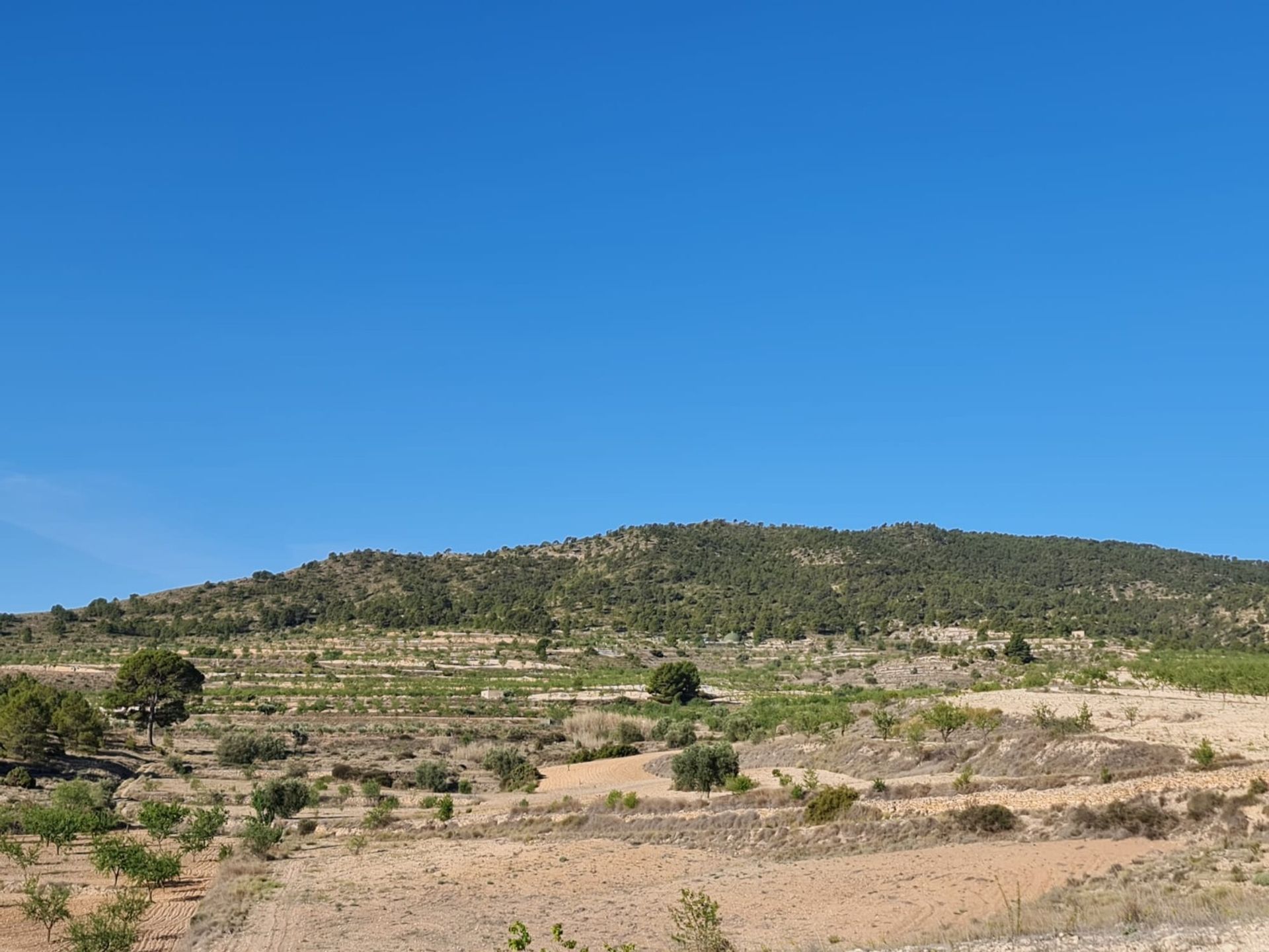 집 에 Raspay, Región de Murcia 12837489