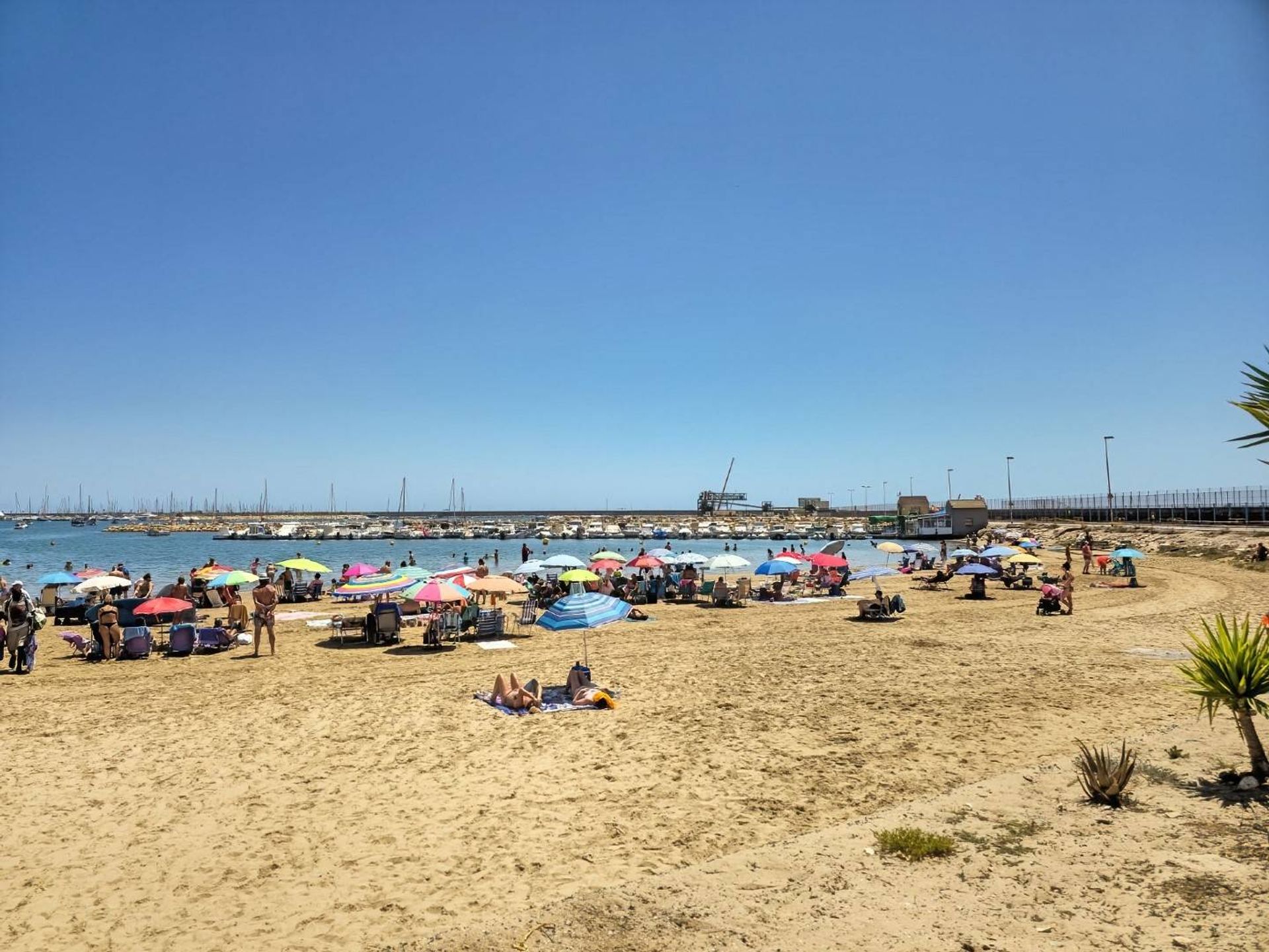 公寓 在 Torrevieja, Comunidad Valenciana 12837742