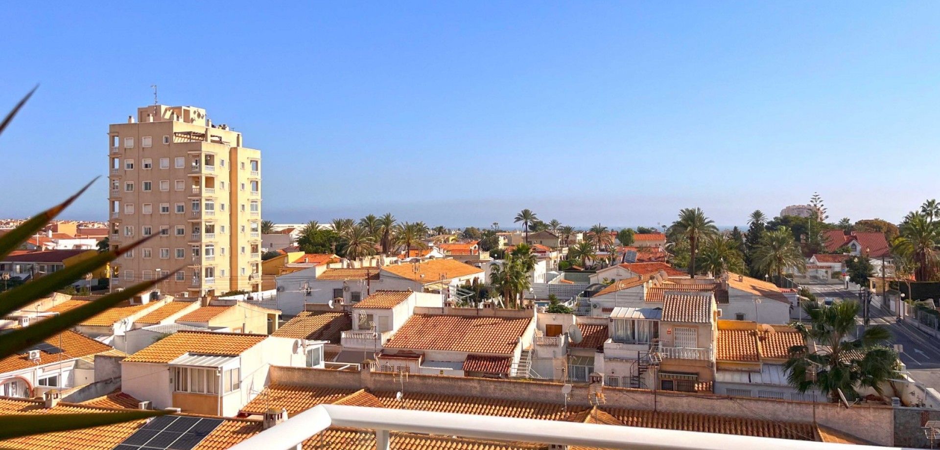 सम्मिलित में Torrevieja, Comunidad Valenciana 12837874