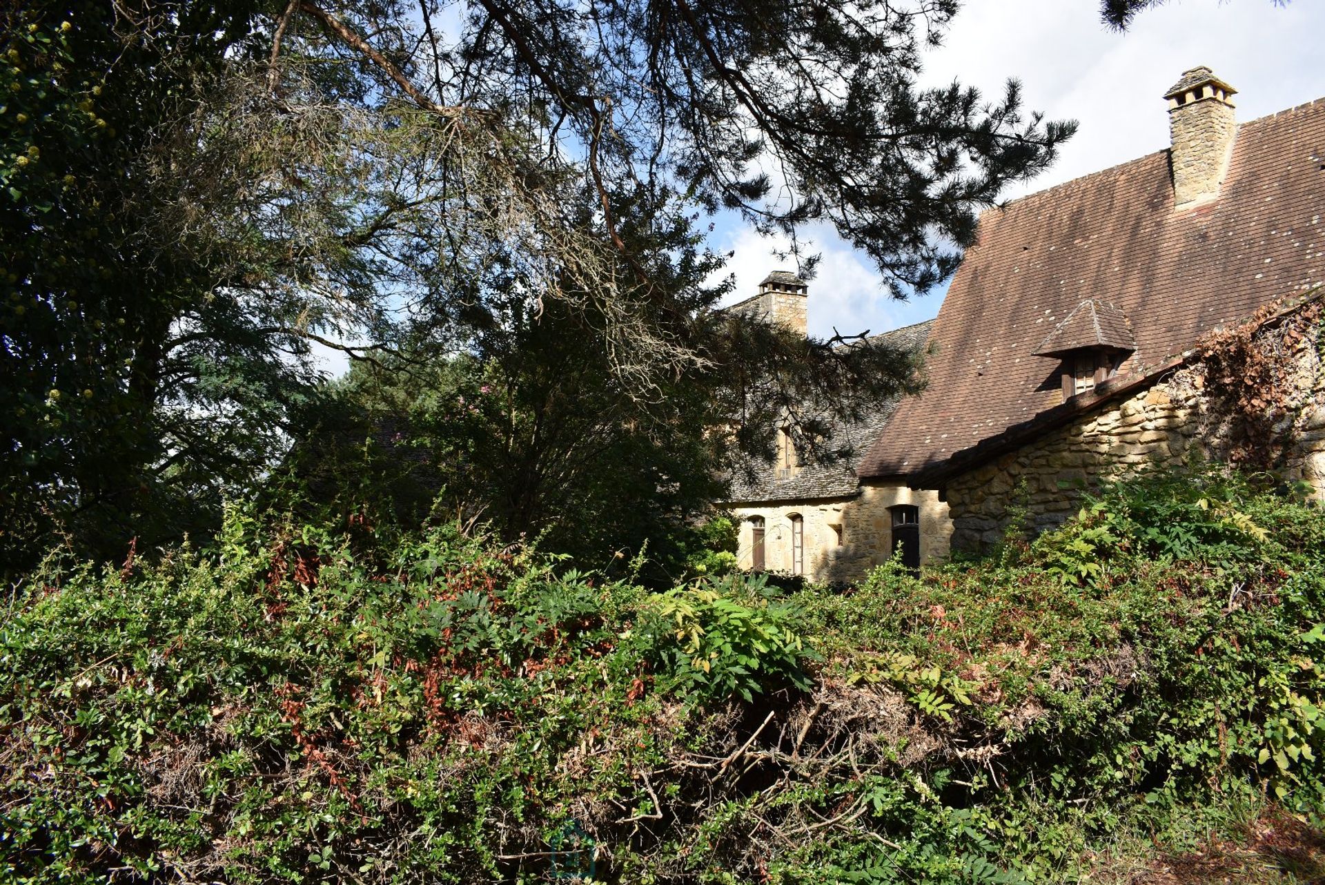 Lain di Montignac-Lascaux, Nouvelle-Aquitaine 12838403