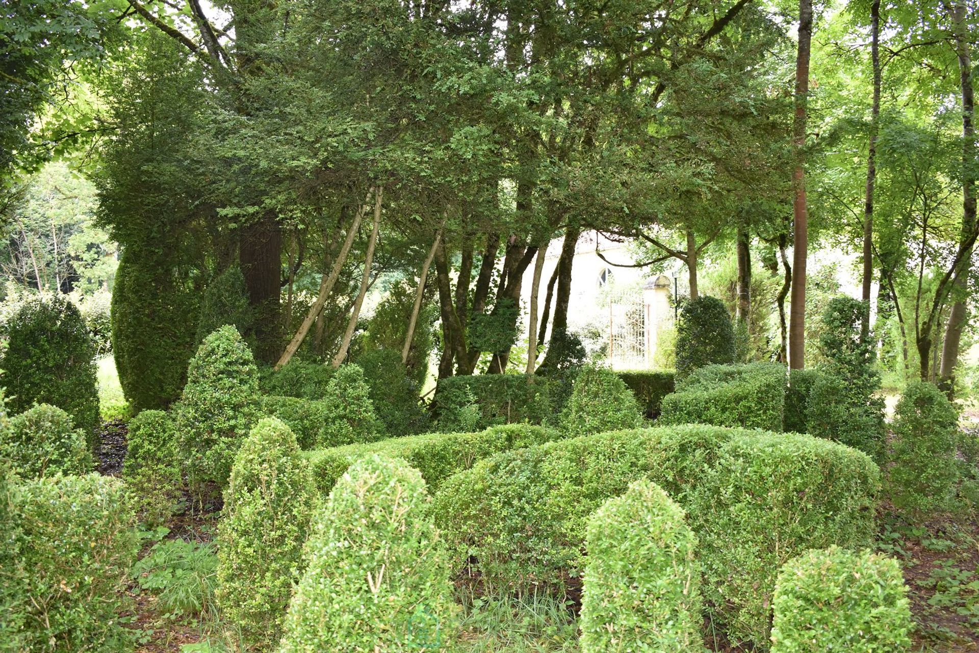 Αλλα σε Sorges-et-Ligueux-en-Périgord, Nouvelle-Aquitaine 12838405