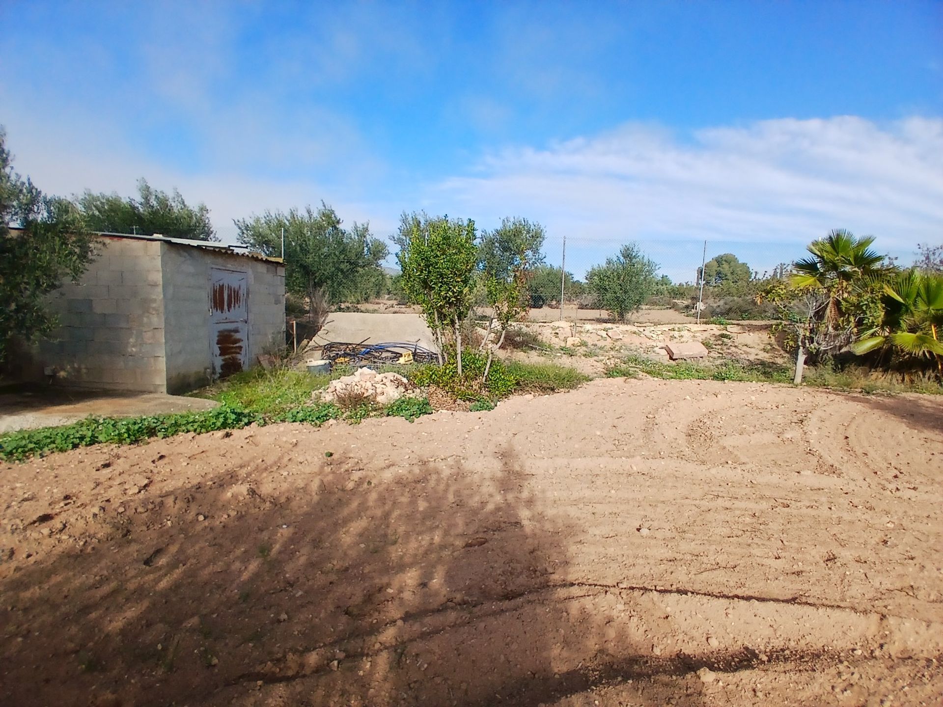 casa en Jumilla, Región de Murcia 12838775