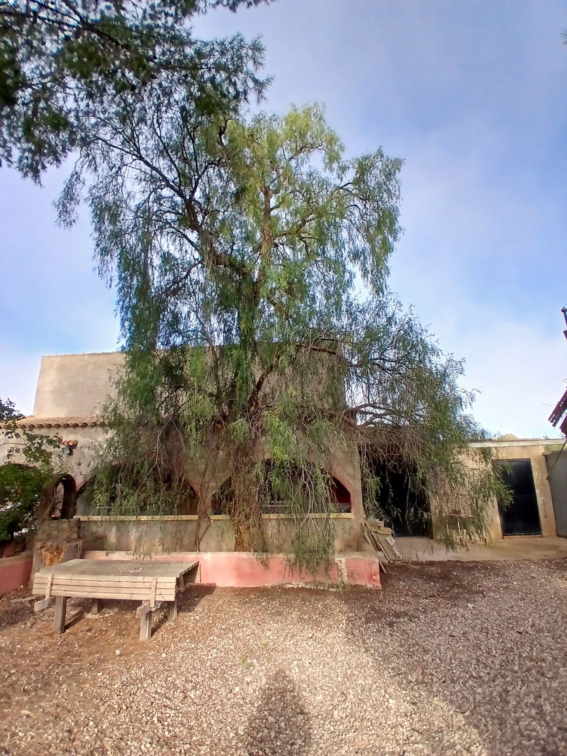 casa en Jumilla, Región de Murcia 12838775