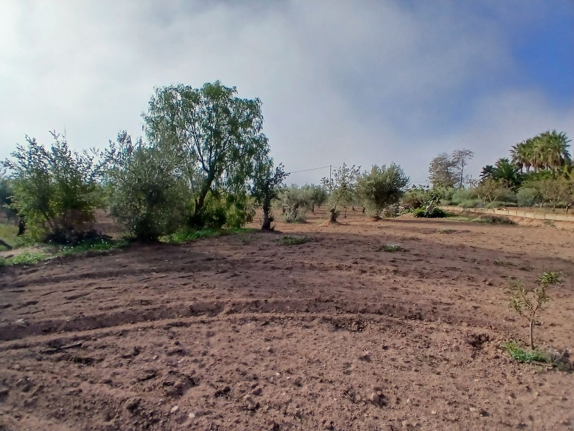 casa en Jumilla, Región de Murcia 12838775