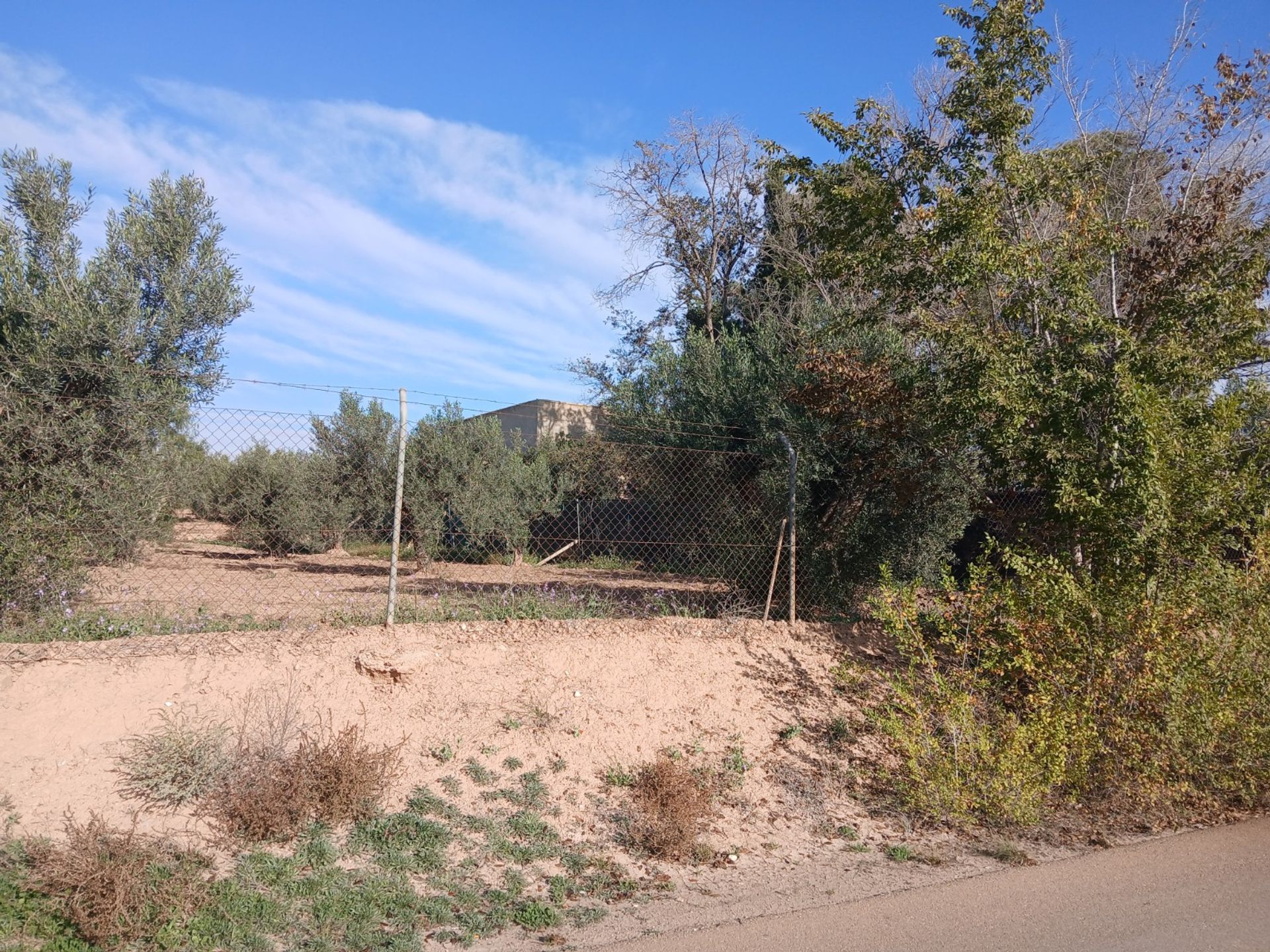 casa en Jumilla, Región de Murcia 12838775