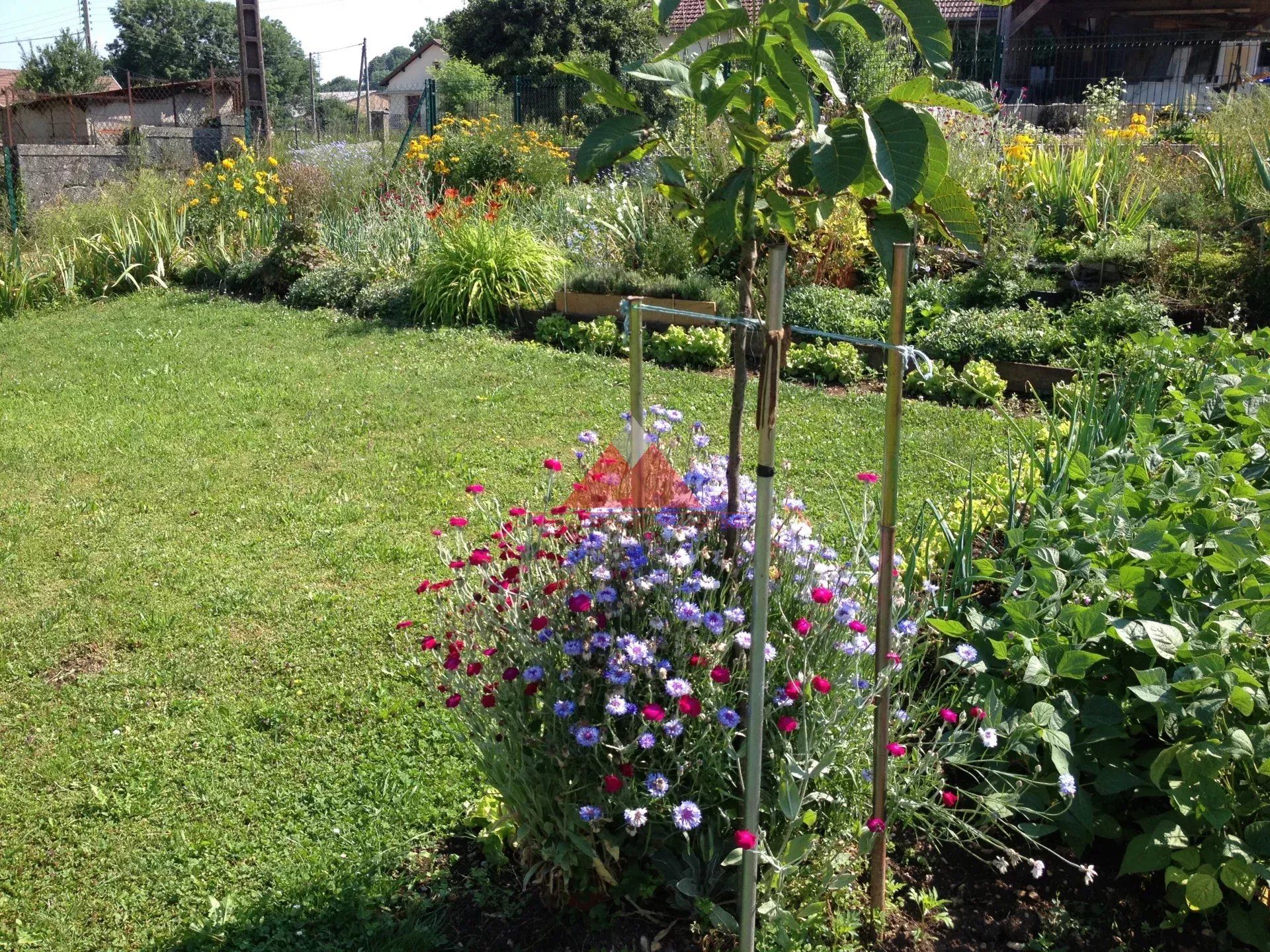 Terre dans Cogna, Bourgogne-Franche-Comté 12838808