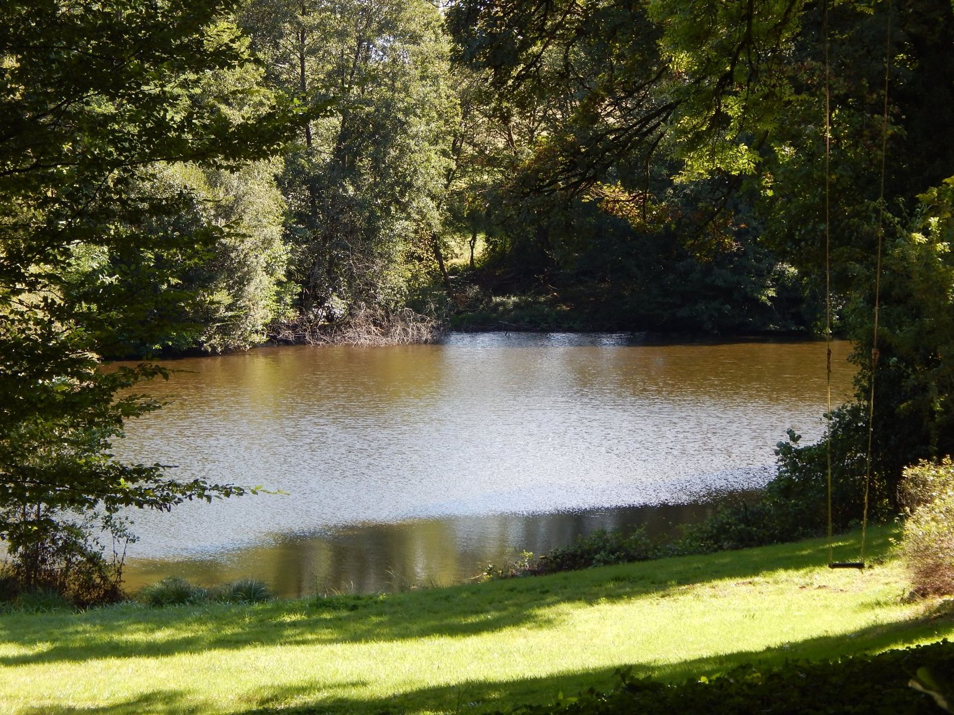 Otro en Lagraulière, Nouvelle-Aquitaine 12839214