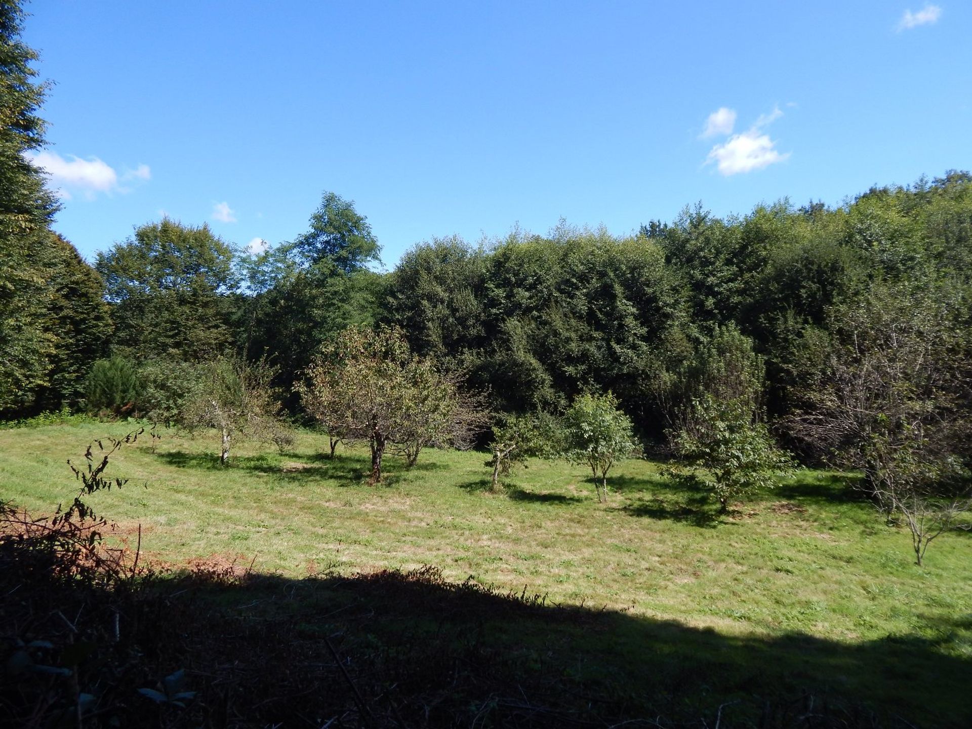 Otro en Lagraulière, Nouvelle-Aquitaine 12839214