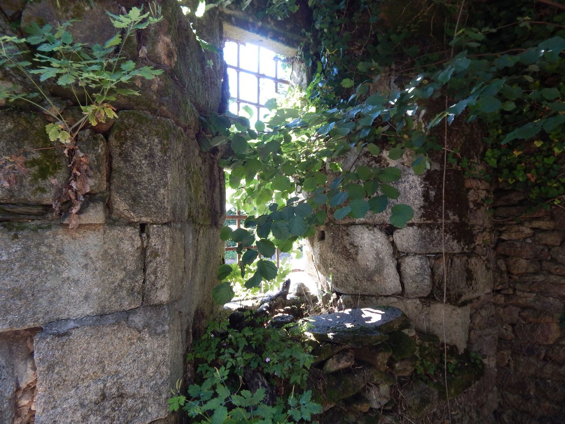 casa en Affieux, Nouvelle-Aquitaine 12839219