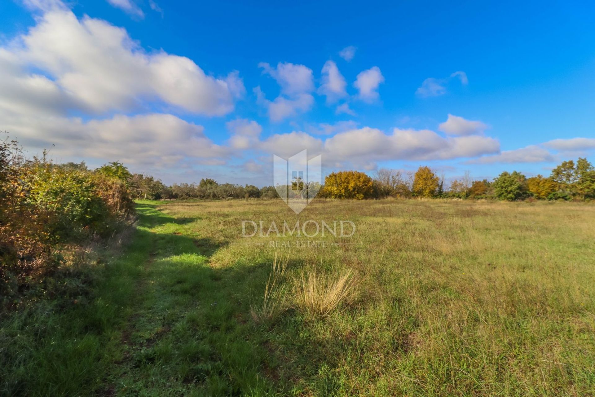 Land in Svetvincenat, Istarska Zupanija 12839792