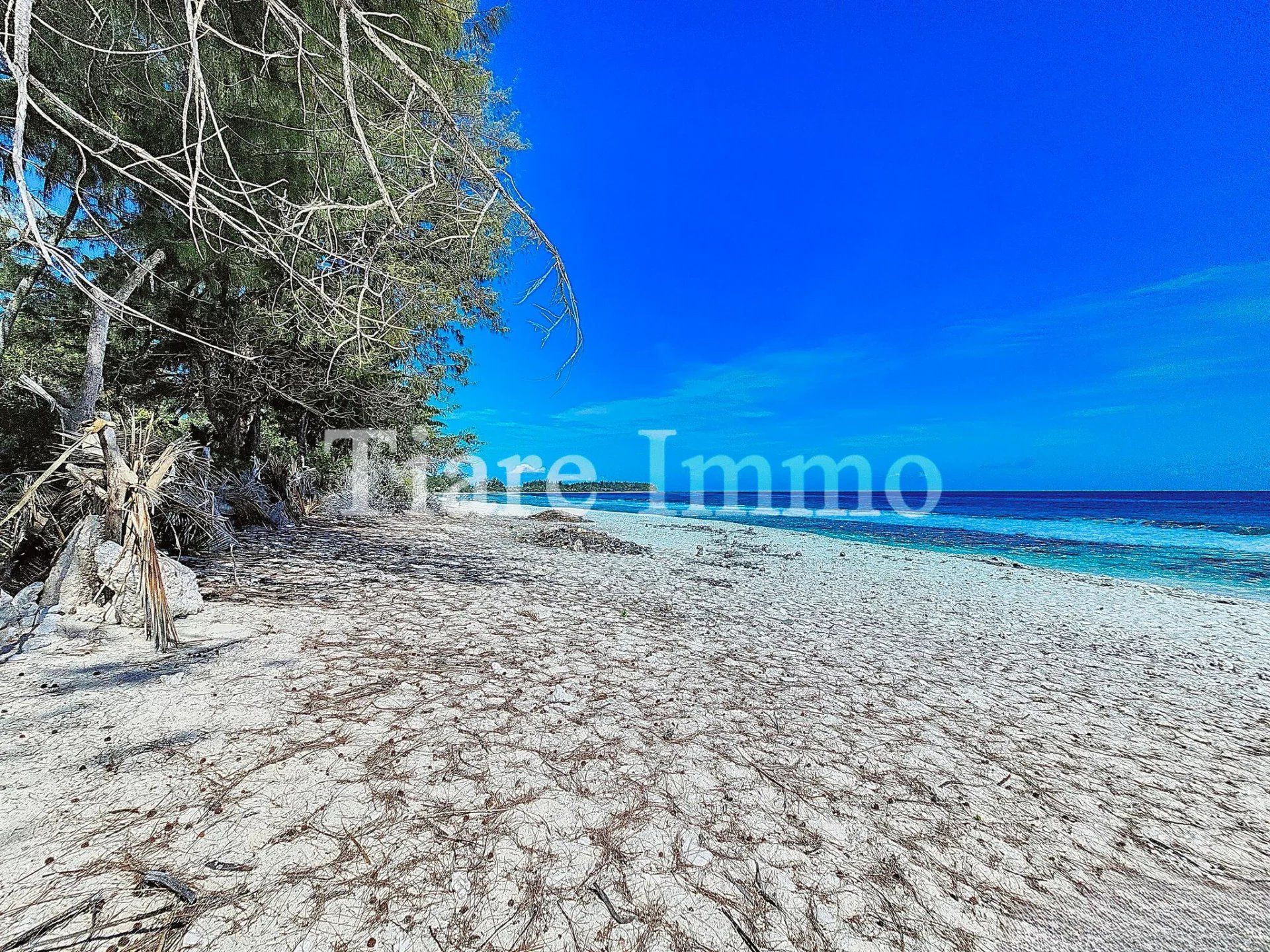 房子 在 Moorea-Maiao, Îles du Vent 12840196