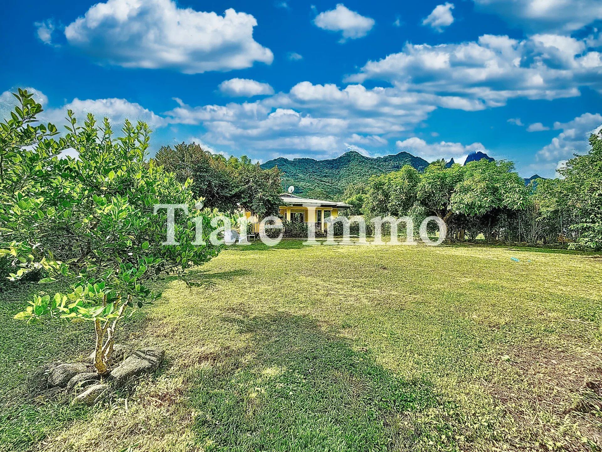 Hus i Moorea-Maiao, Îles du Vent 12840791