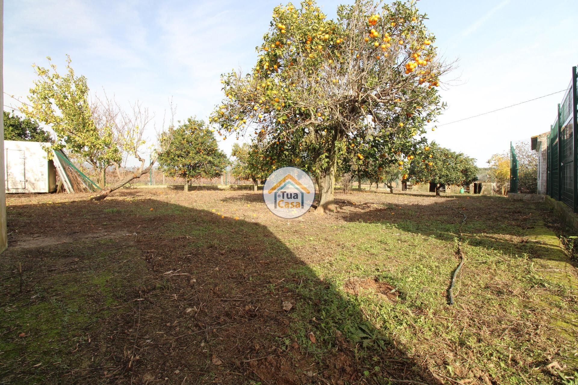 Casa nel Redondo, Évora District 12841466