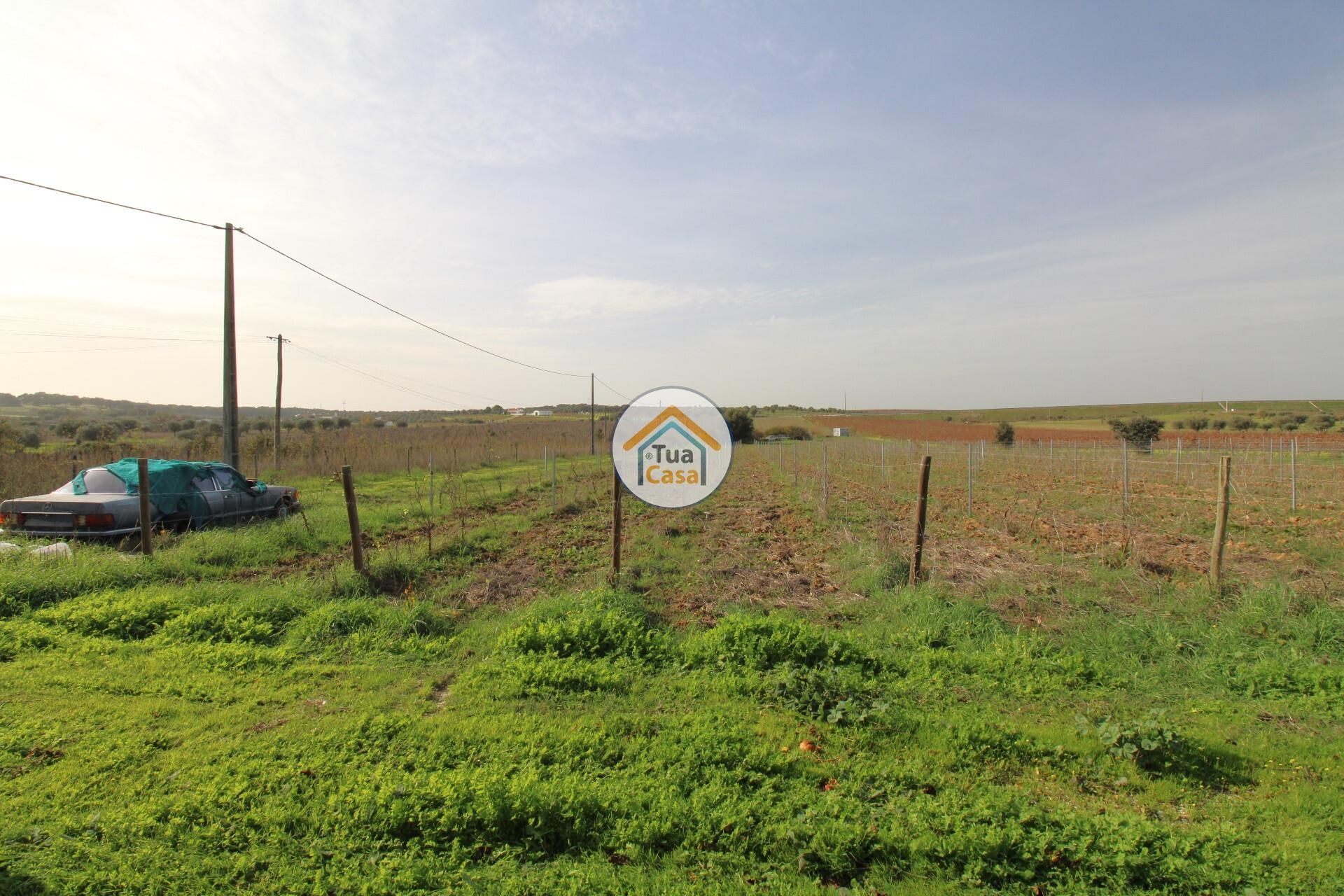 Casa nel Redondo, Évora District 12841466