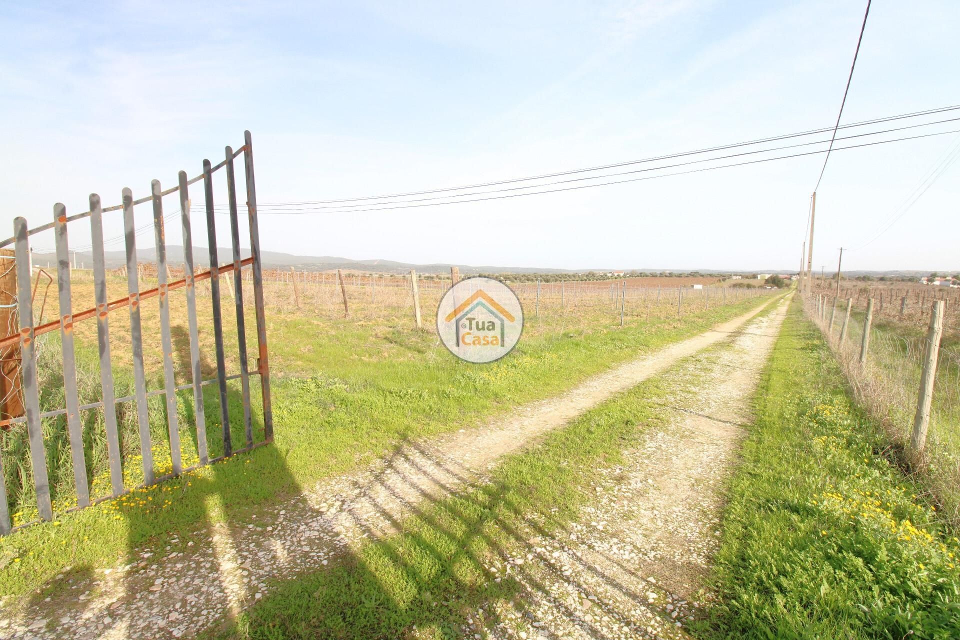 Casa nel Redondo, Évora District 12841466