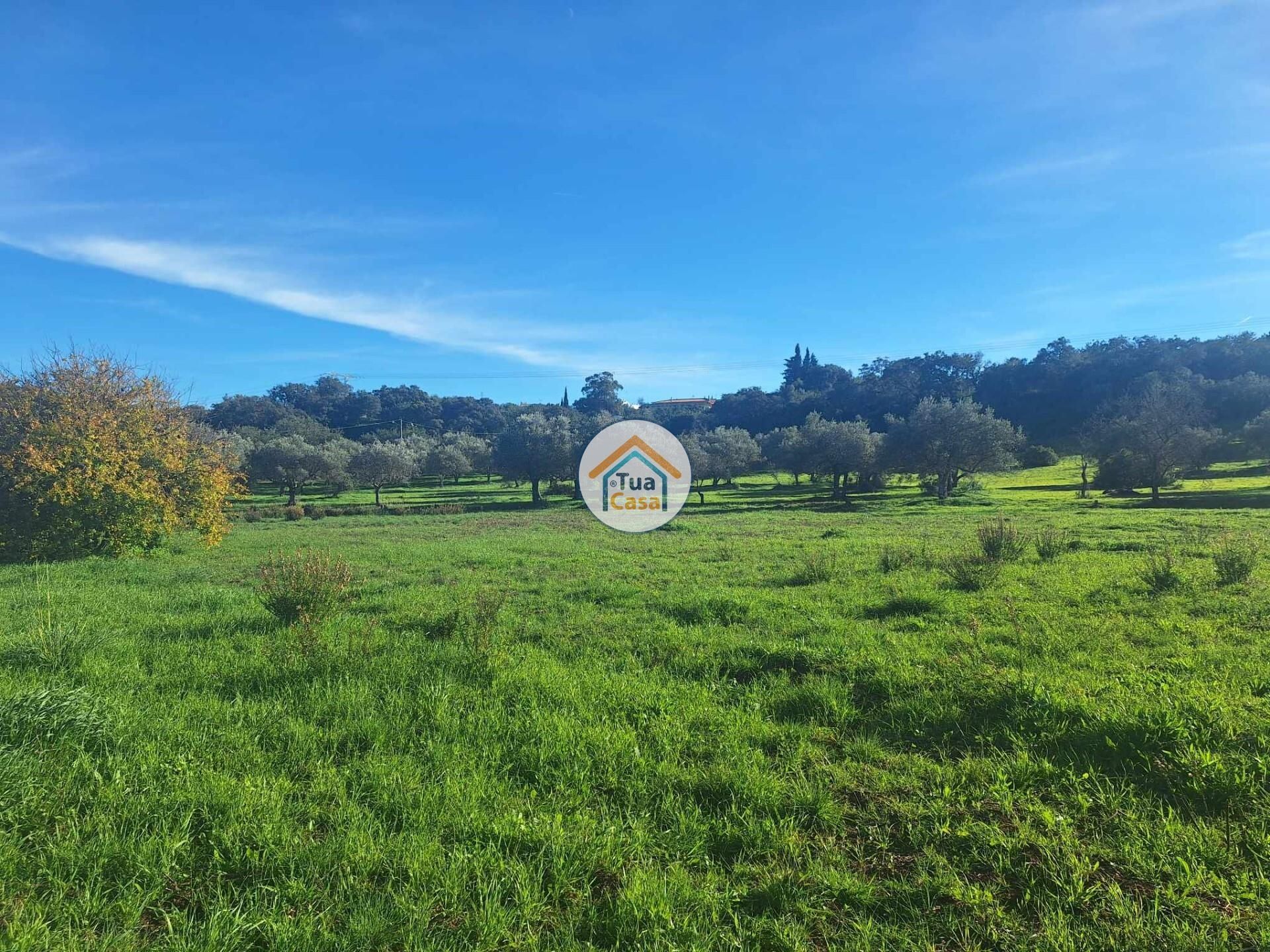 Tanah di Sao Bras de Alportel, Faro 12841467