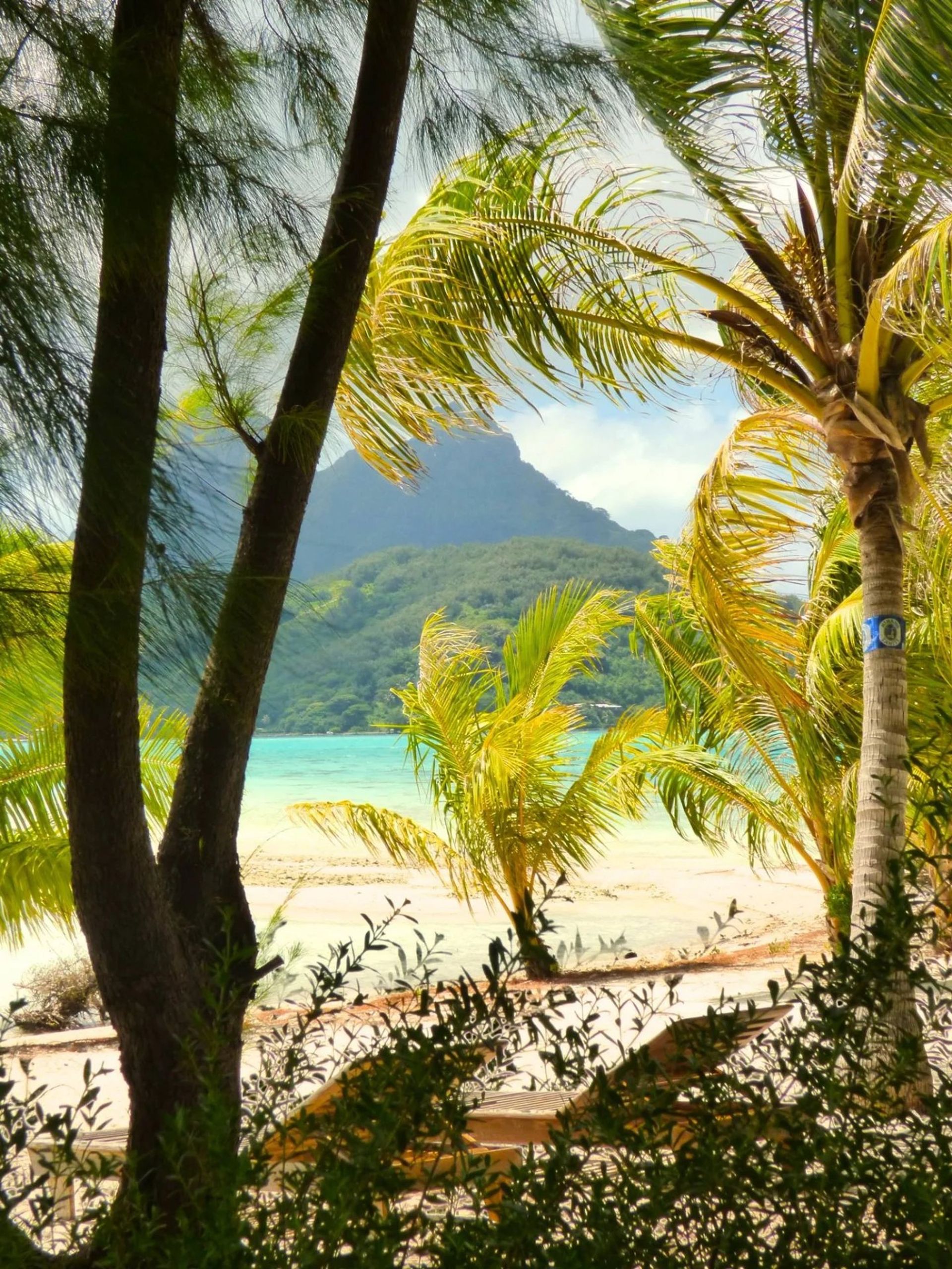 casa en Faanui, Islas Sous-le-Vent 12841752