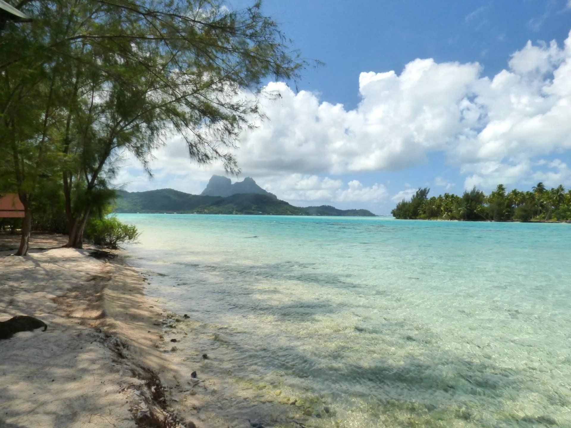 casa en Faanui, Islas Sous-le-Vent 12841752