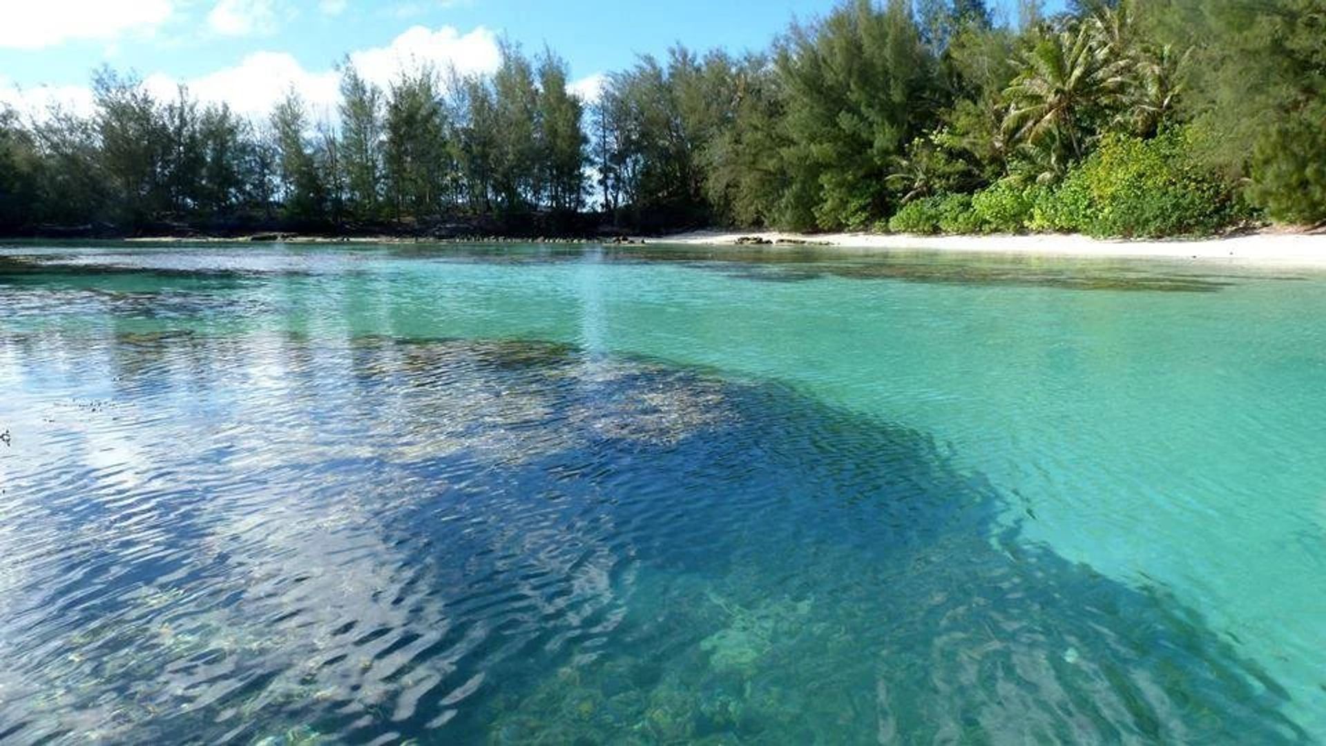 σπίτι σε Bora Bora, Îles Sous-le-Vent 12841752