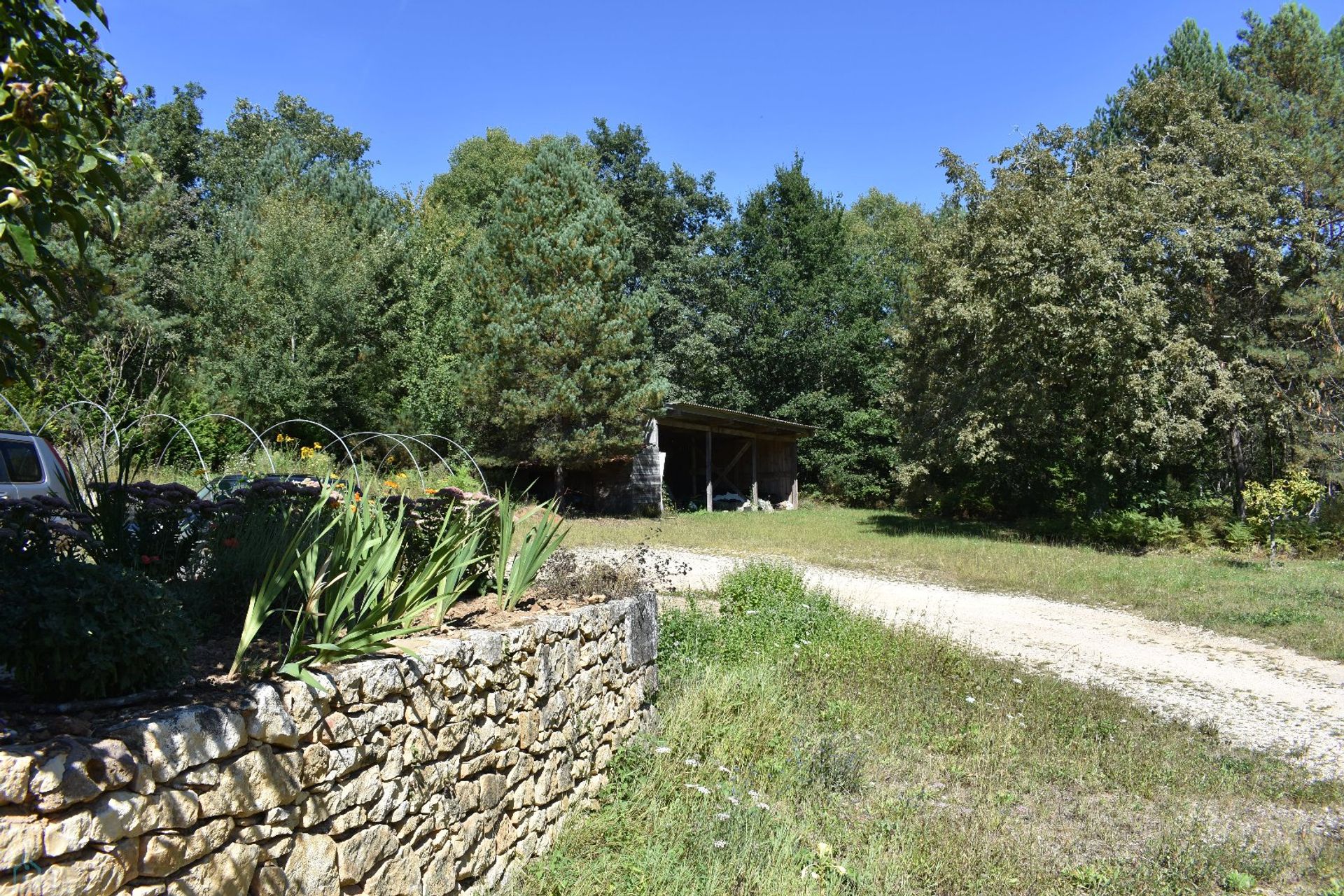 Αλλα σε Rouffignac-Saint-Cernin-de-Reilhac, Nouvelle-Aquitaine 12842189