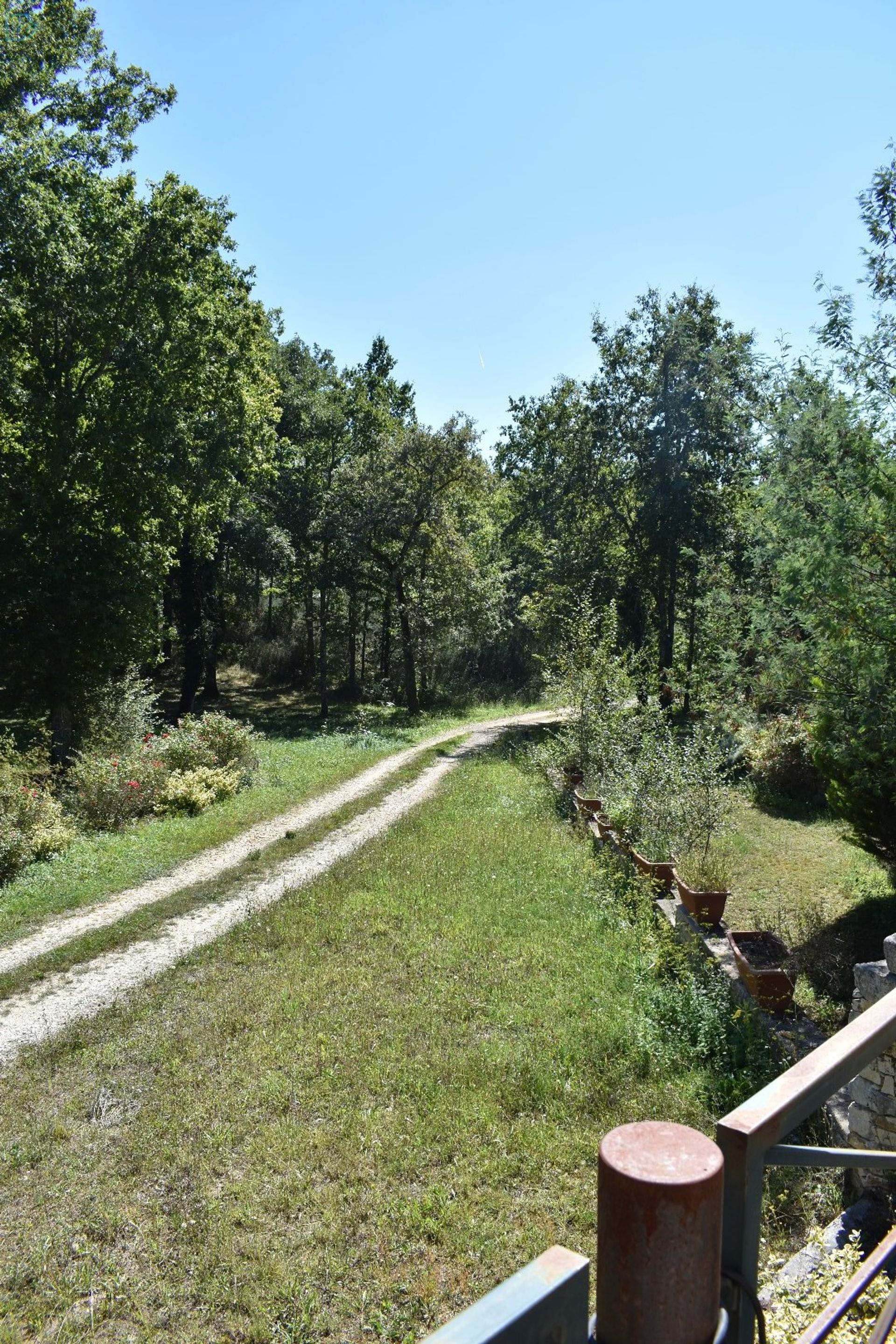 Αλλα σε Rouffignac-Saint-Cernin-de-Reilhac, Nouvelle-Aquitaine 12842189