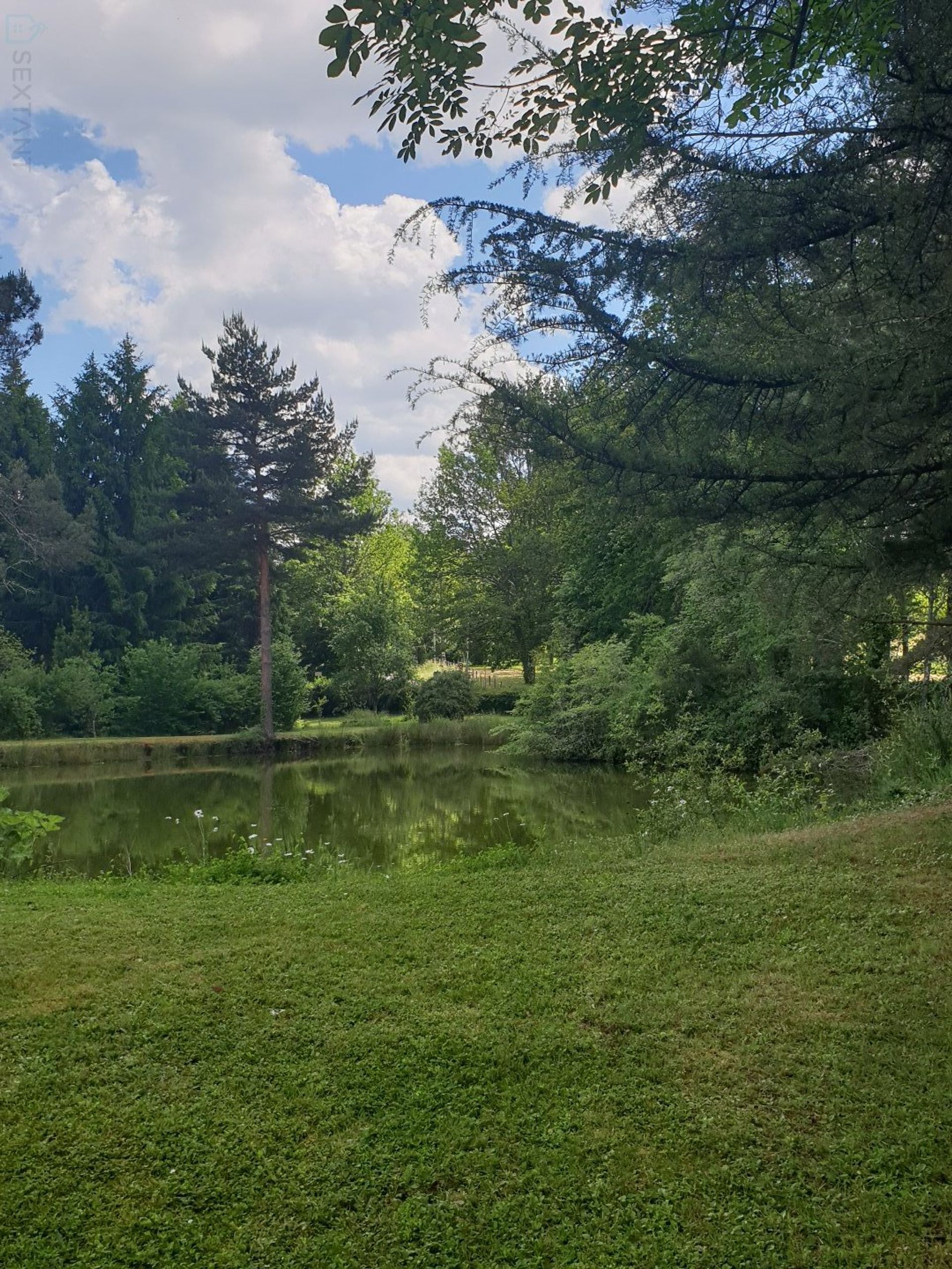 Αλλα σε Rouffignac-Saint-Cernin-de-Reilhac, Nouvelle-Aquitaine 12842196