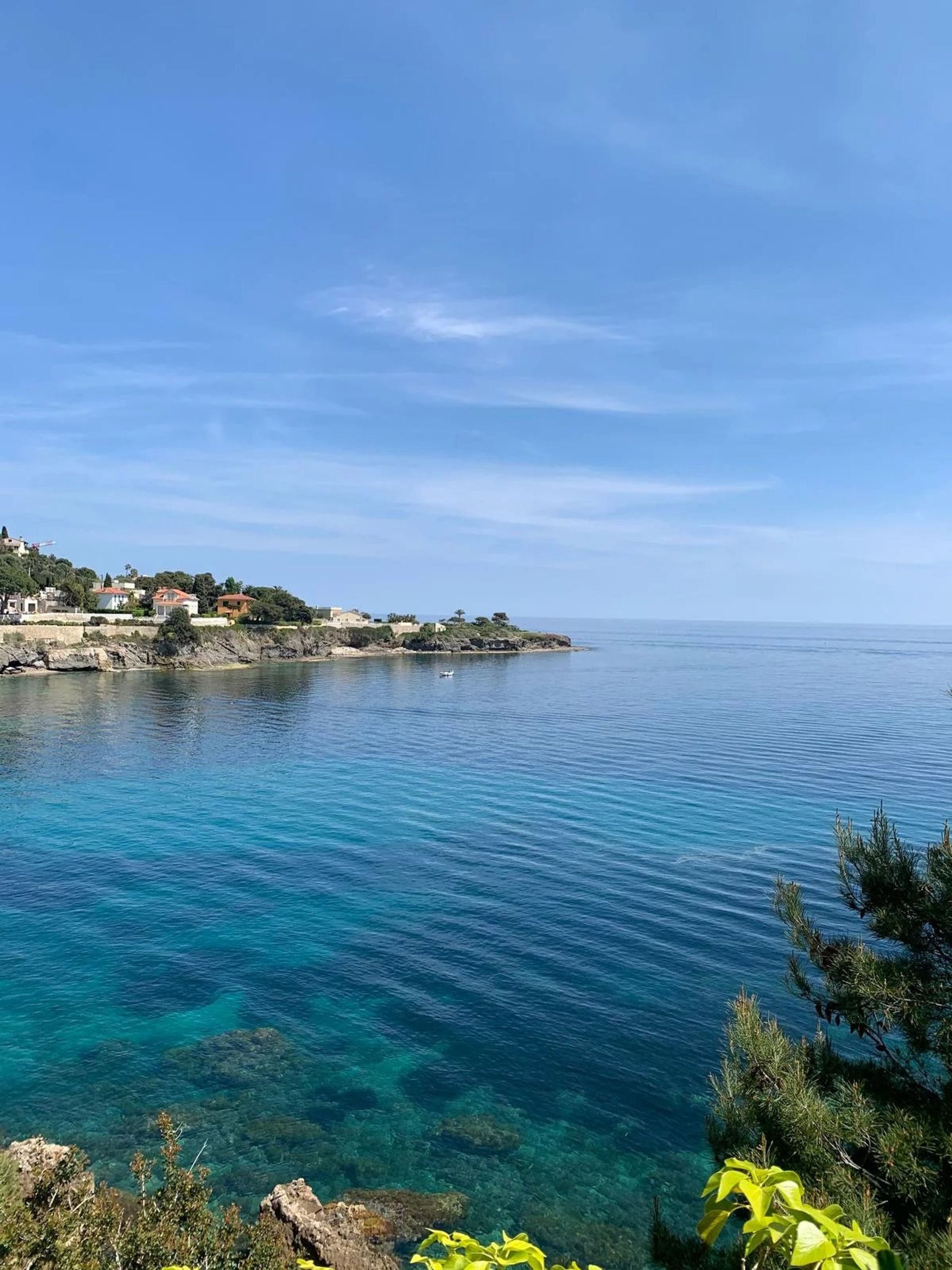 Huis in Cap-d'Ail, Provence-Alpes-Côte d'Azur 12842635